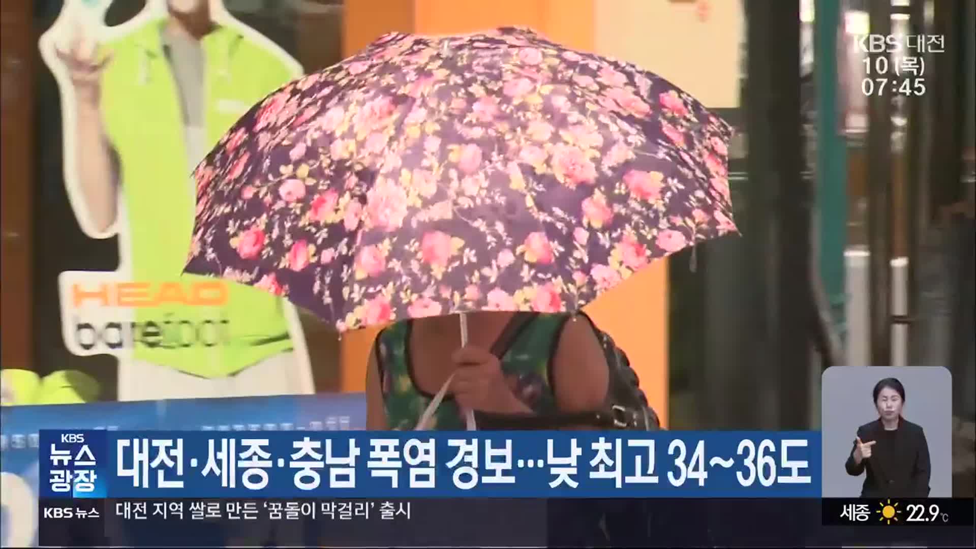 대전·세종·충남 폭염 경보…낮 최고 34~36도