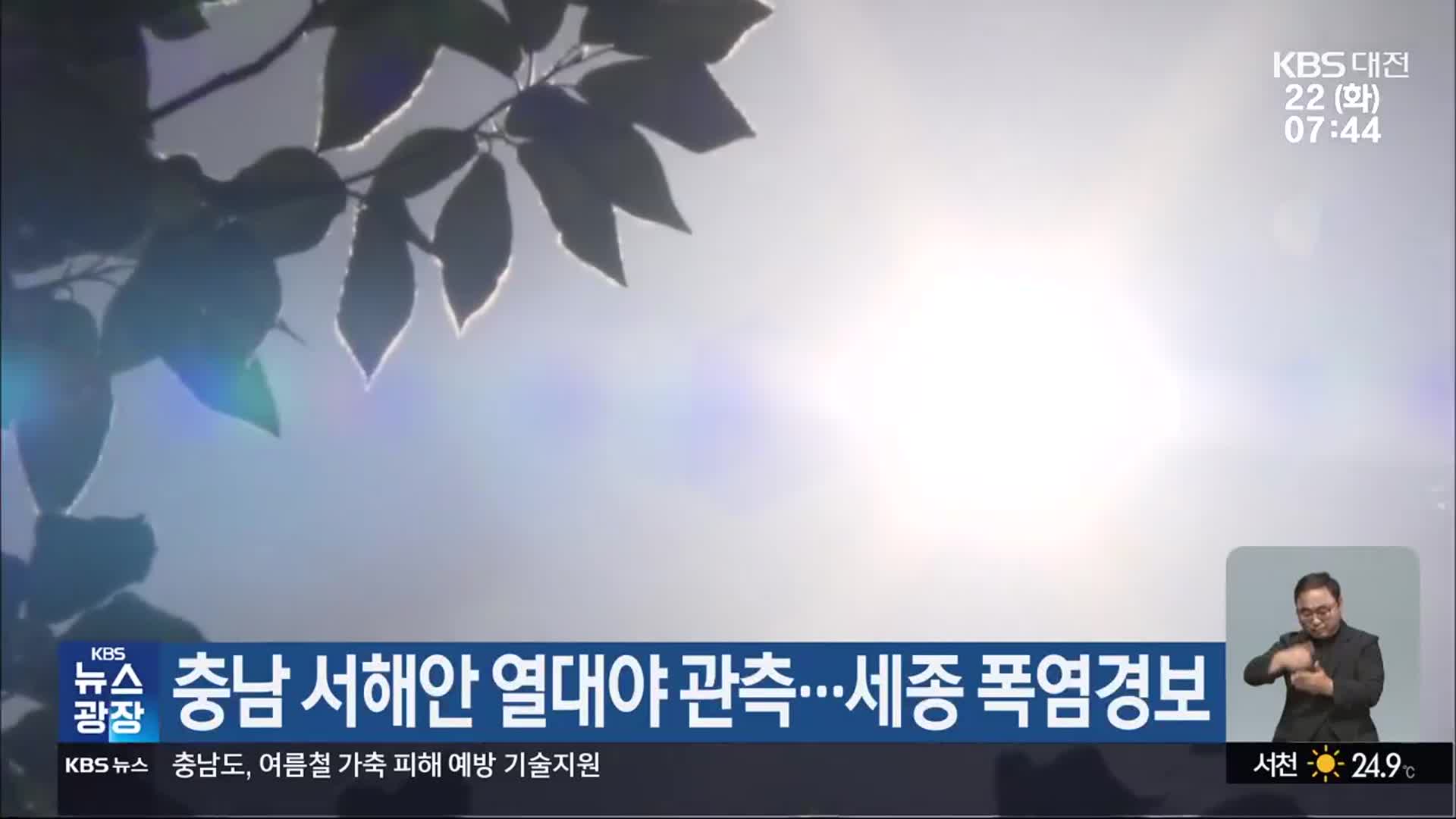 충남 서해안 열대야 관측…세종 폭염경보
