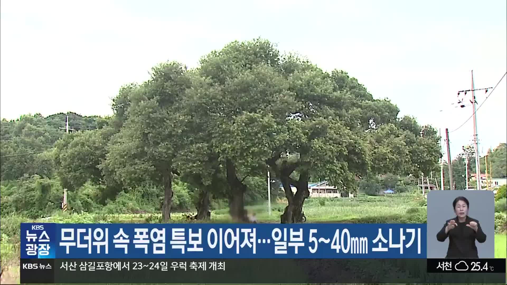 대전·세종·충남 무더위 속 폭염 특보 이어져…일부 5~40㎜ 소나기