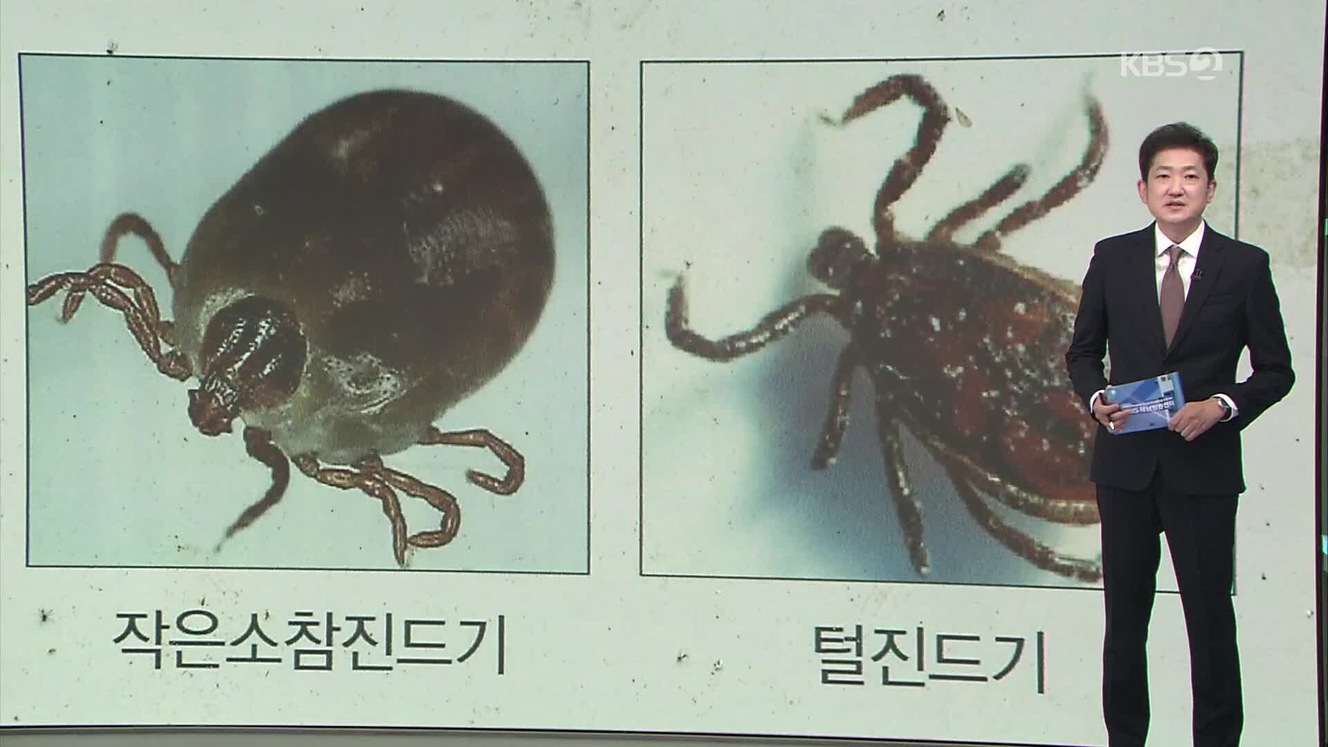 털진드기 감염병 환자 11월에 급증