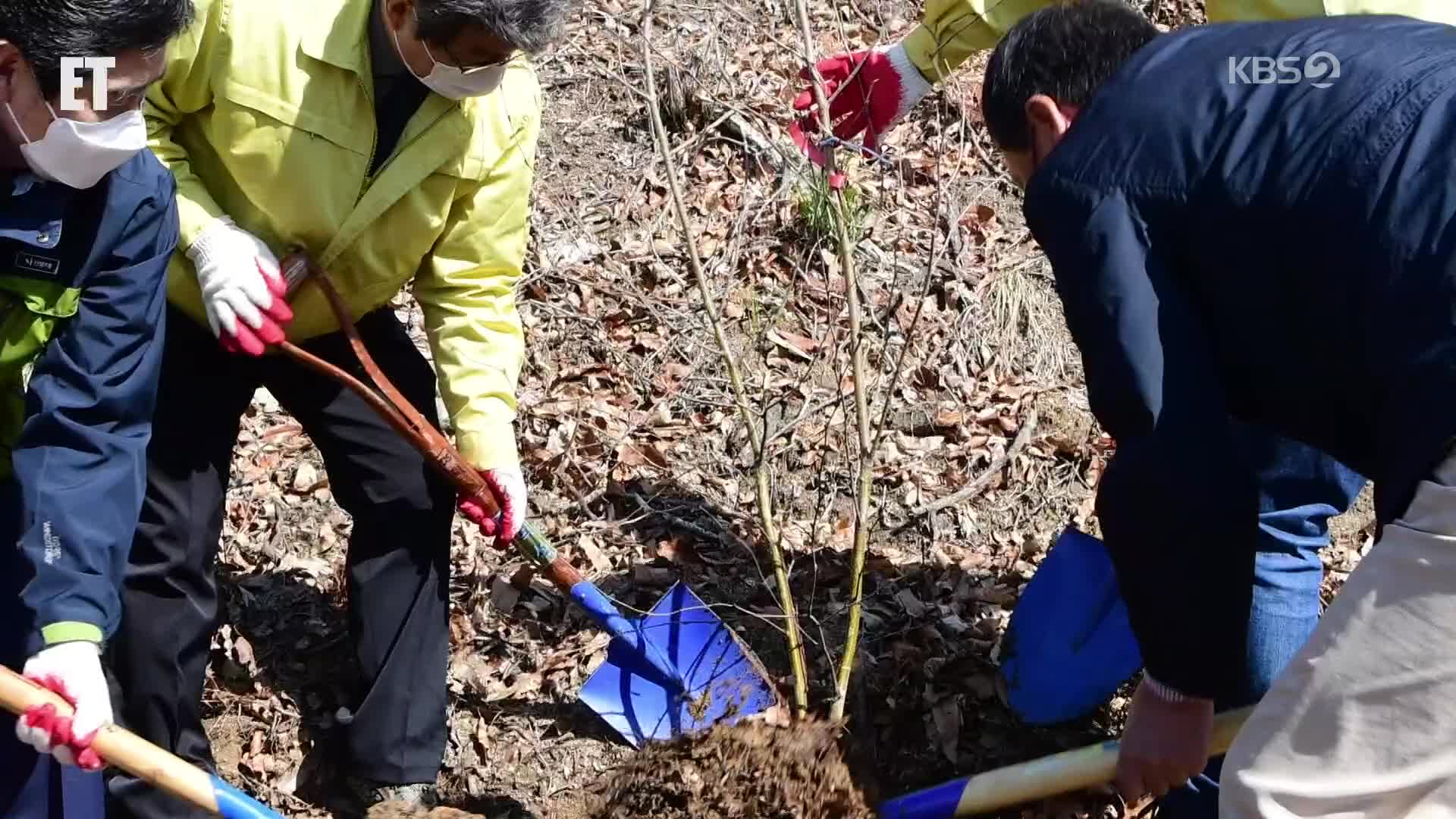 [ET] 나무 심고 벌초하고…4월 5일은 식목일·한식