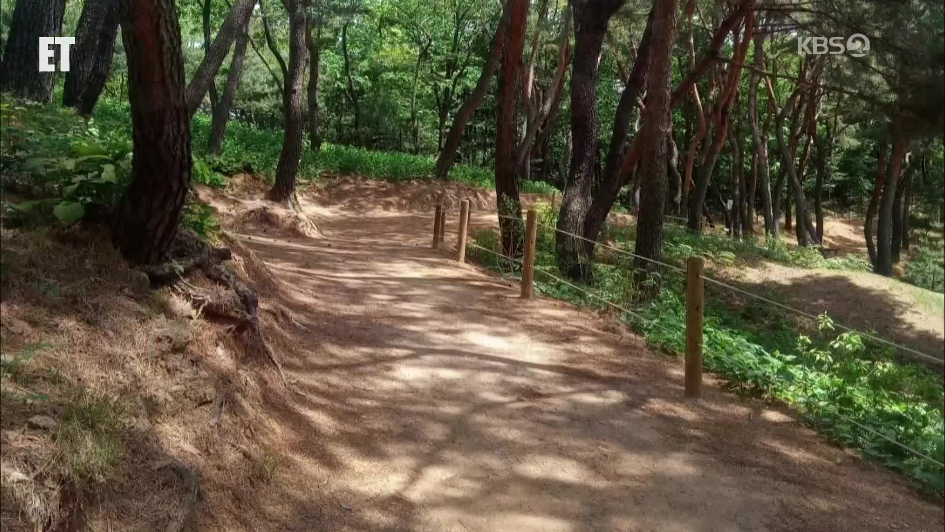 [ET] 조선왕릉 숲길 11곳, 6월까지 개방