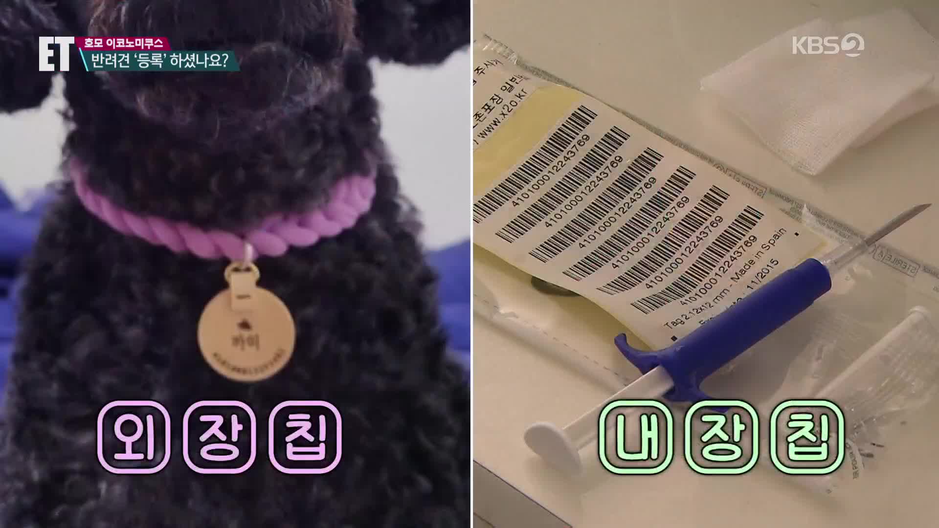 [ETX페오펫] 댕댕이도 출생 신고…‘개민증’ 아시나요?