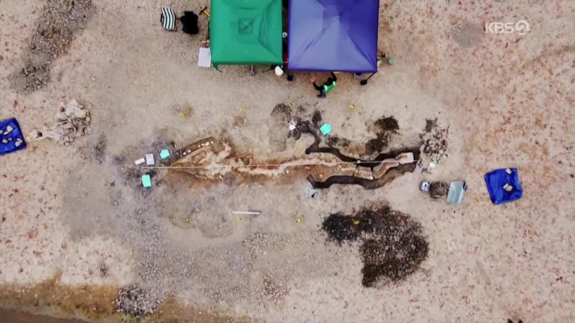 [ET] 영국서 1억 8천만 년 전 10m 어룡 화석 발견