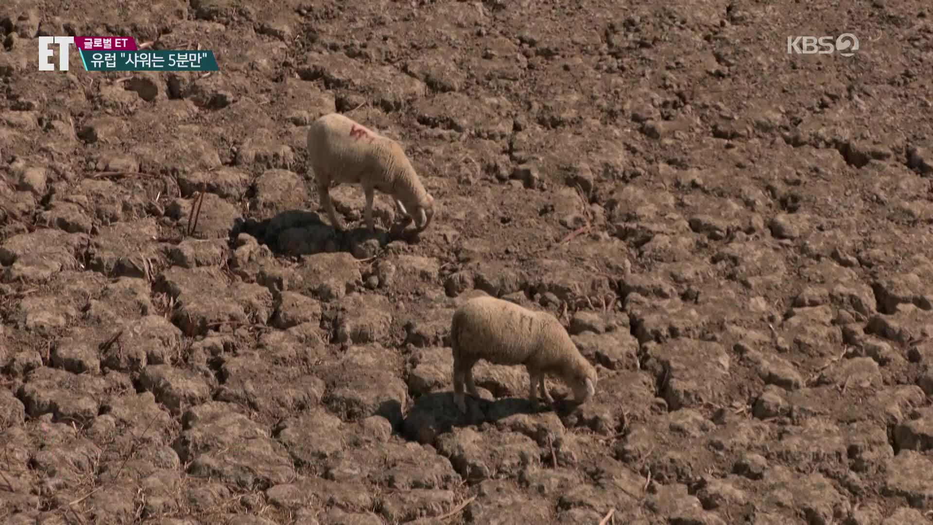 [ET] “머리 매일 감지 말고, 샤워는 5분만”…유럽, 500년 만에 최악 가뭄