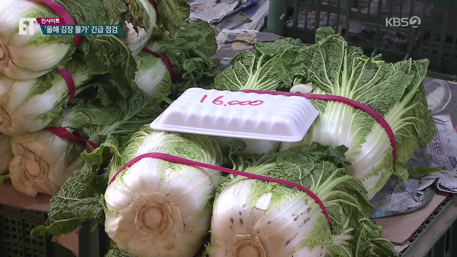 [ET] ‘금치’된 김치…올해 김장 물가는?