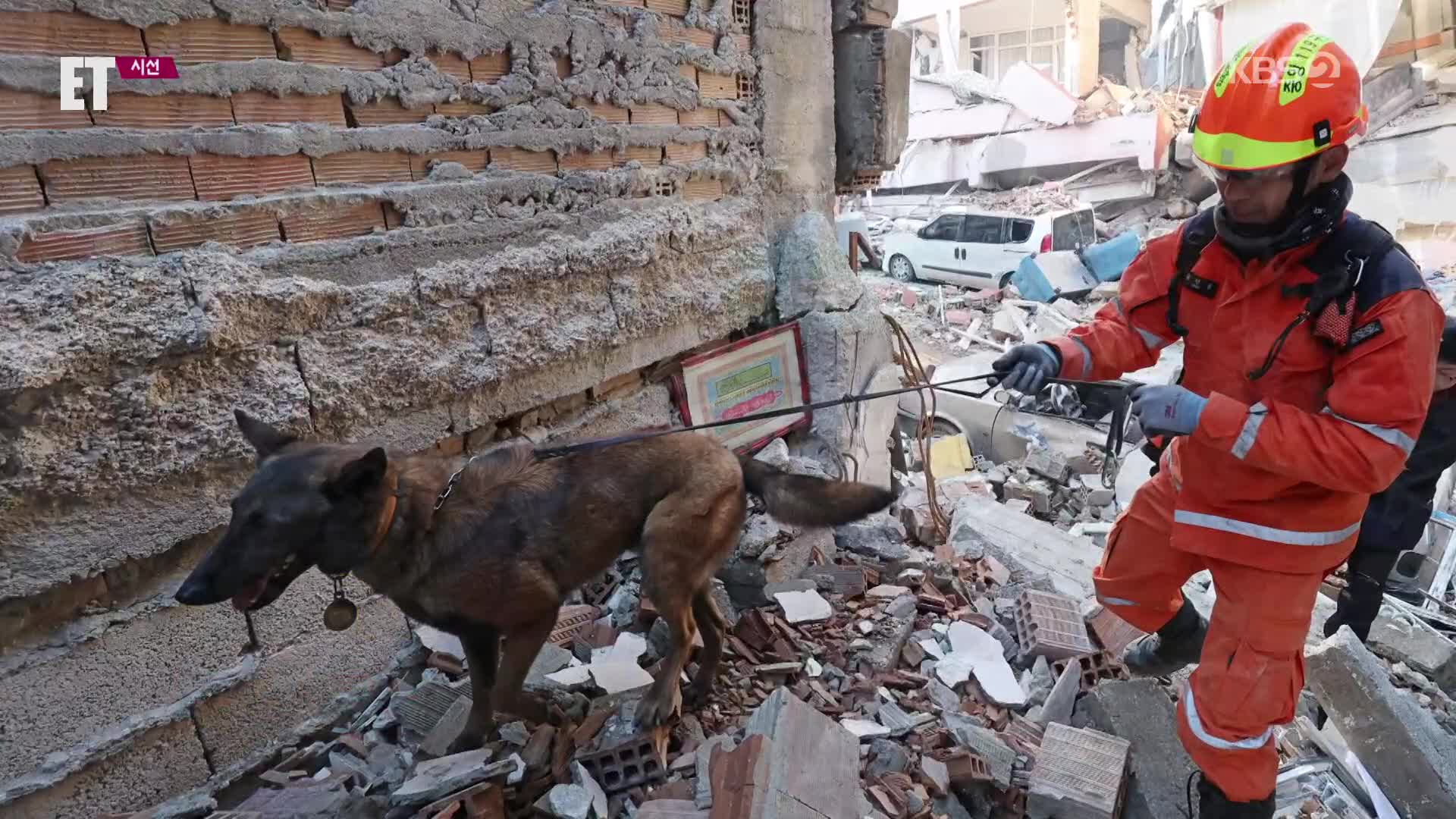 [ET] ‘붕대 투혼’ 한국 구조견 ‘토백’…튀르키예 지진 현장의 작은 영웅들