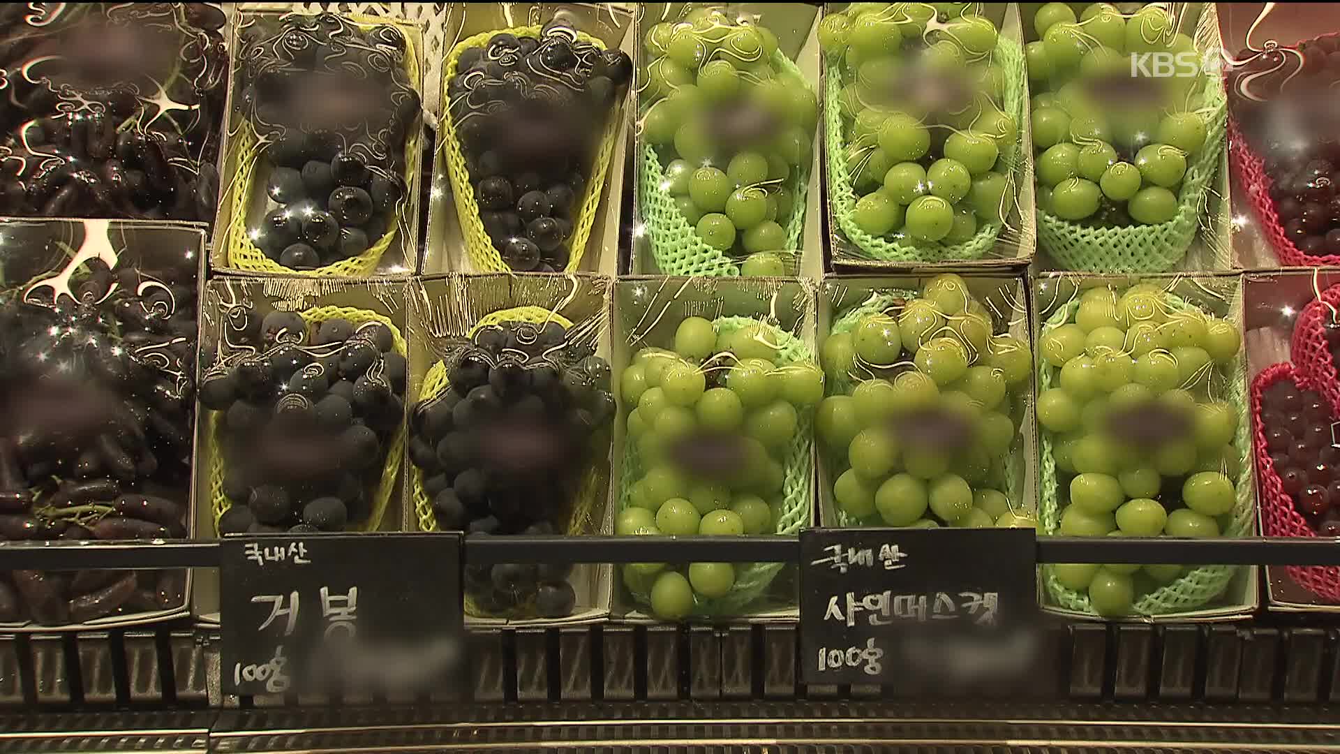 [경제 핫 클립] 과일계 에르메스는 옛말, 거봉보다 싼 샤인머스캣