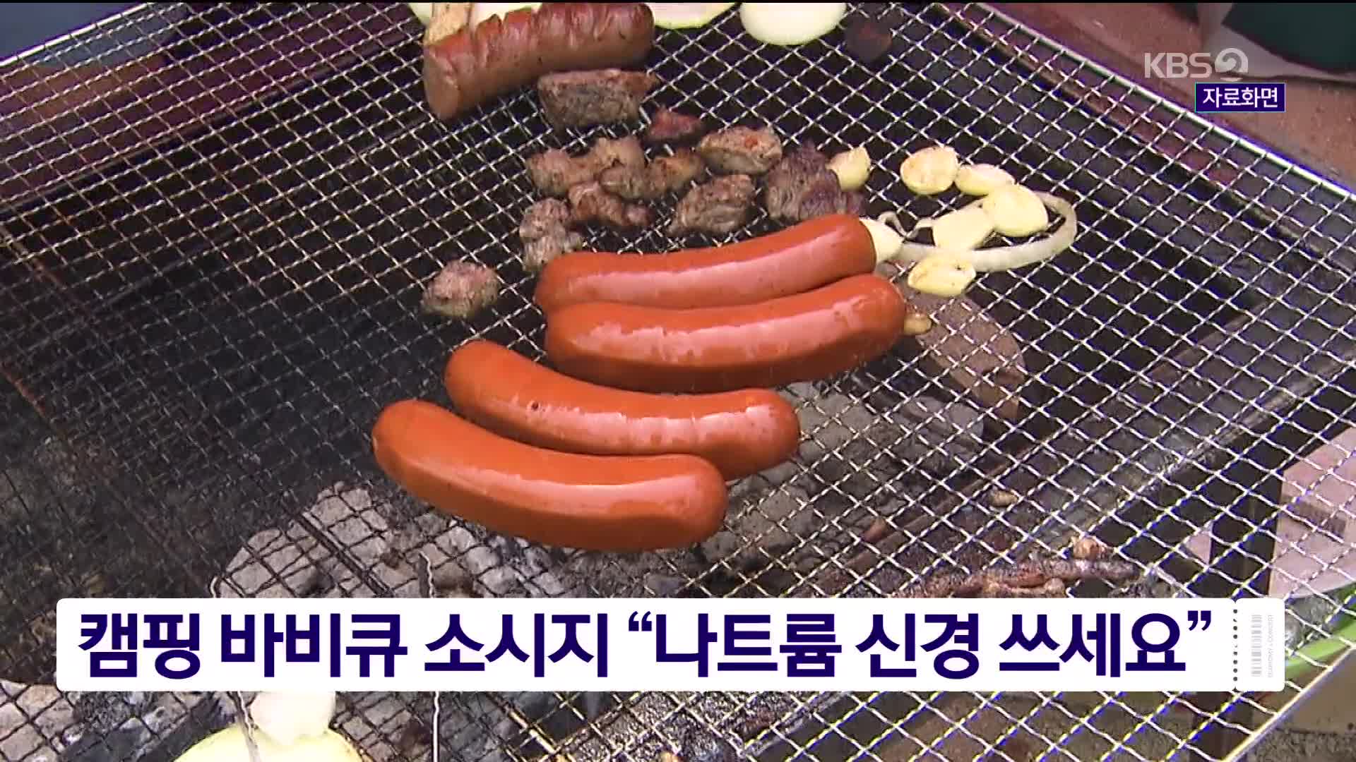 캠핑 바비큐 소시지 “나트륨 신경 쓰세요”