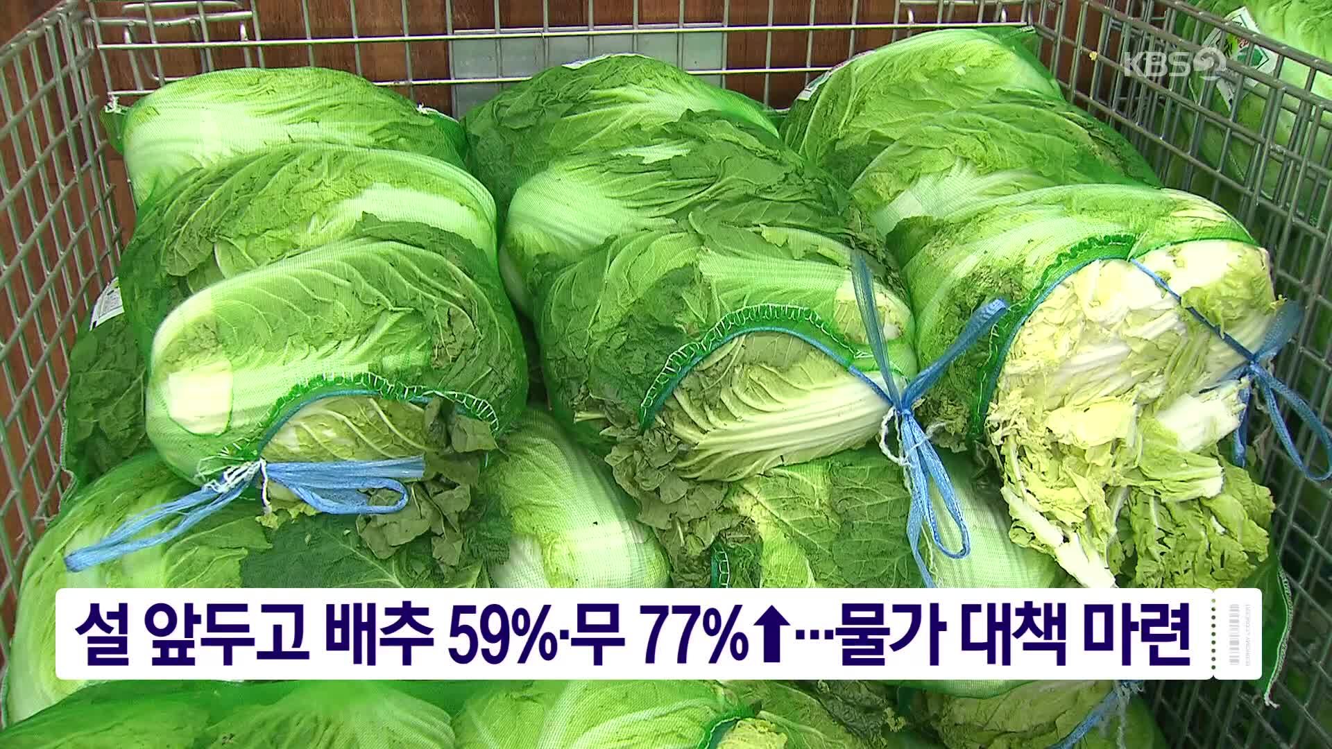 설 앞두고 배추 59%·무 77%↑…물가 대책 마련