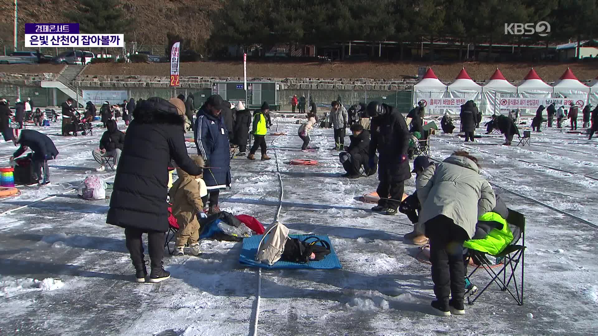 ‘겨울철 7대 불가사의’ 화천 산천어 축제 개막