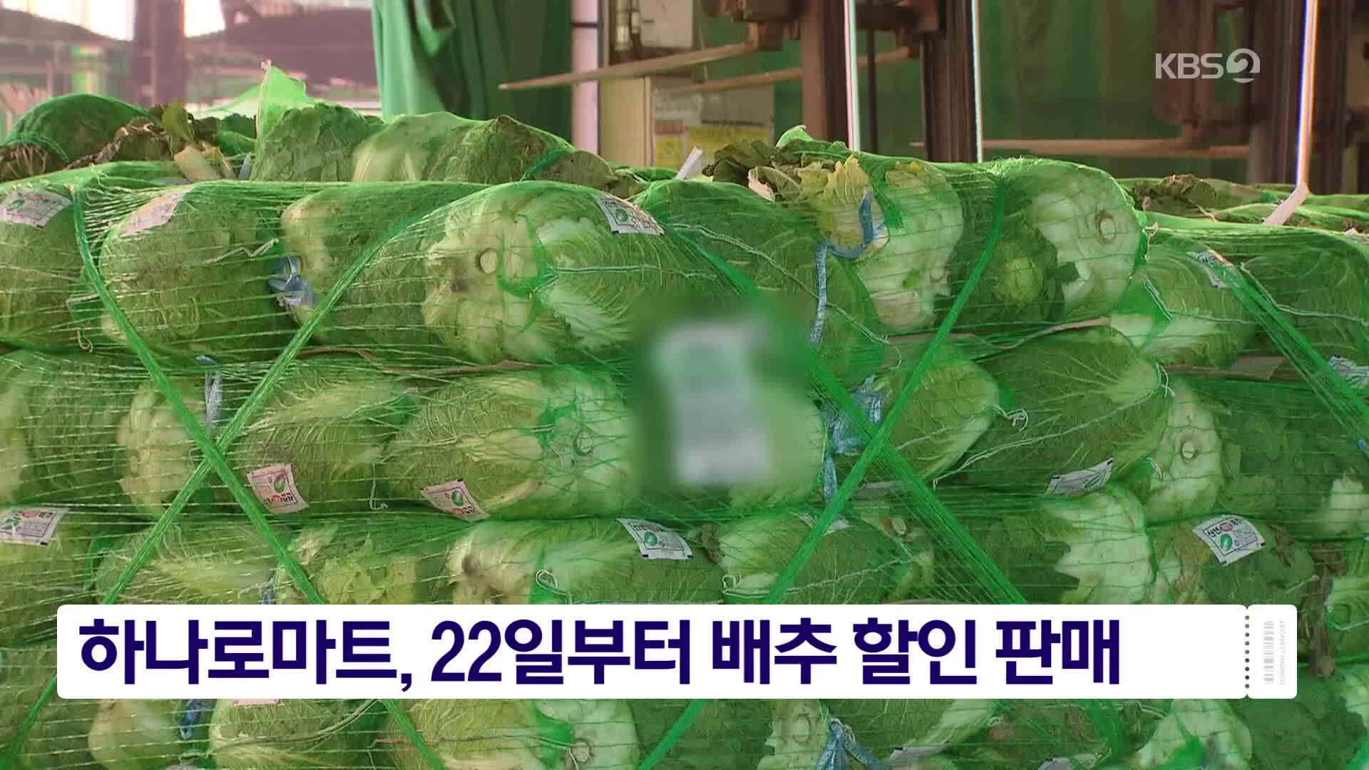 하나로마트, 22일부터 배추 할인 판매