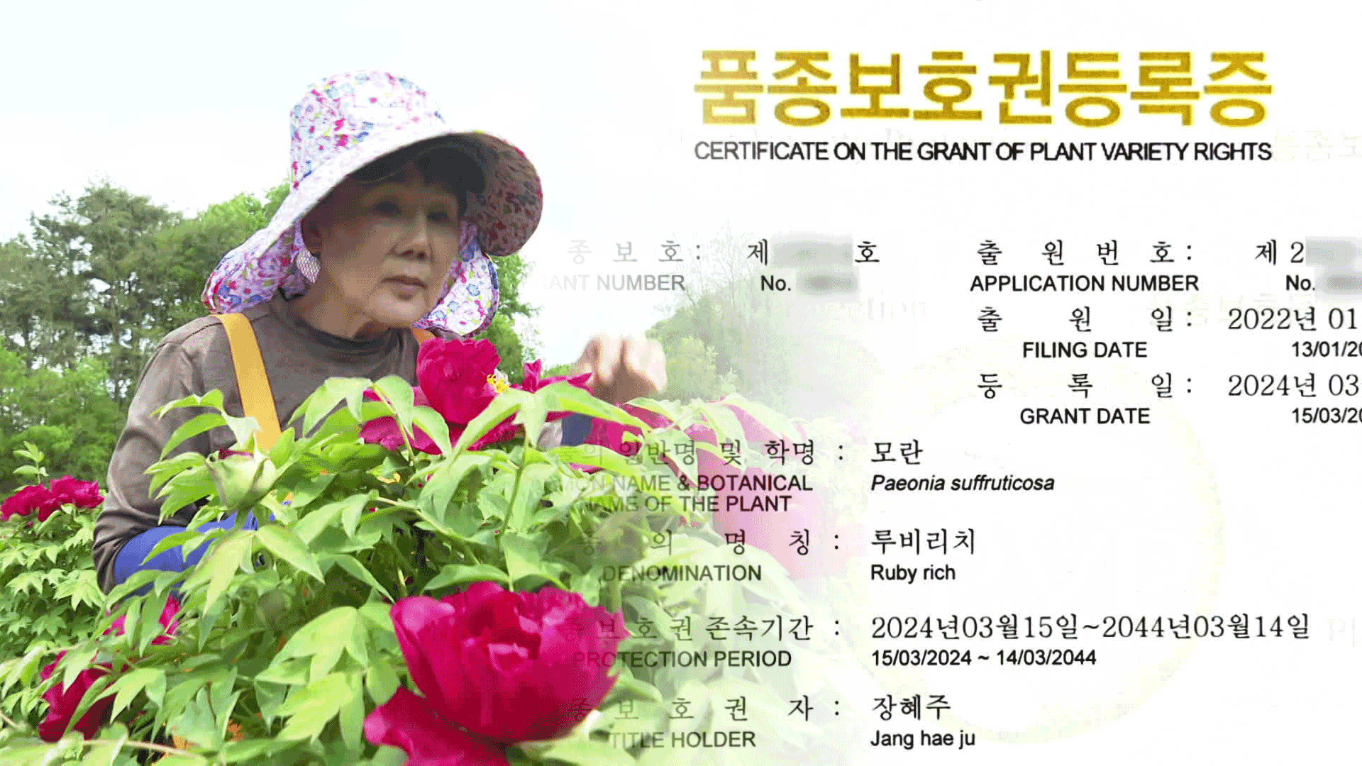 내 종자 만들어 농가 고소득…식물 특허시대