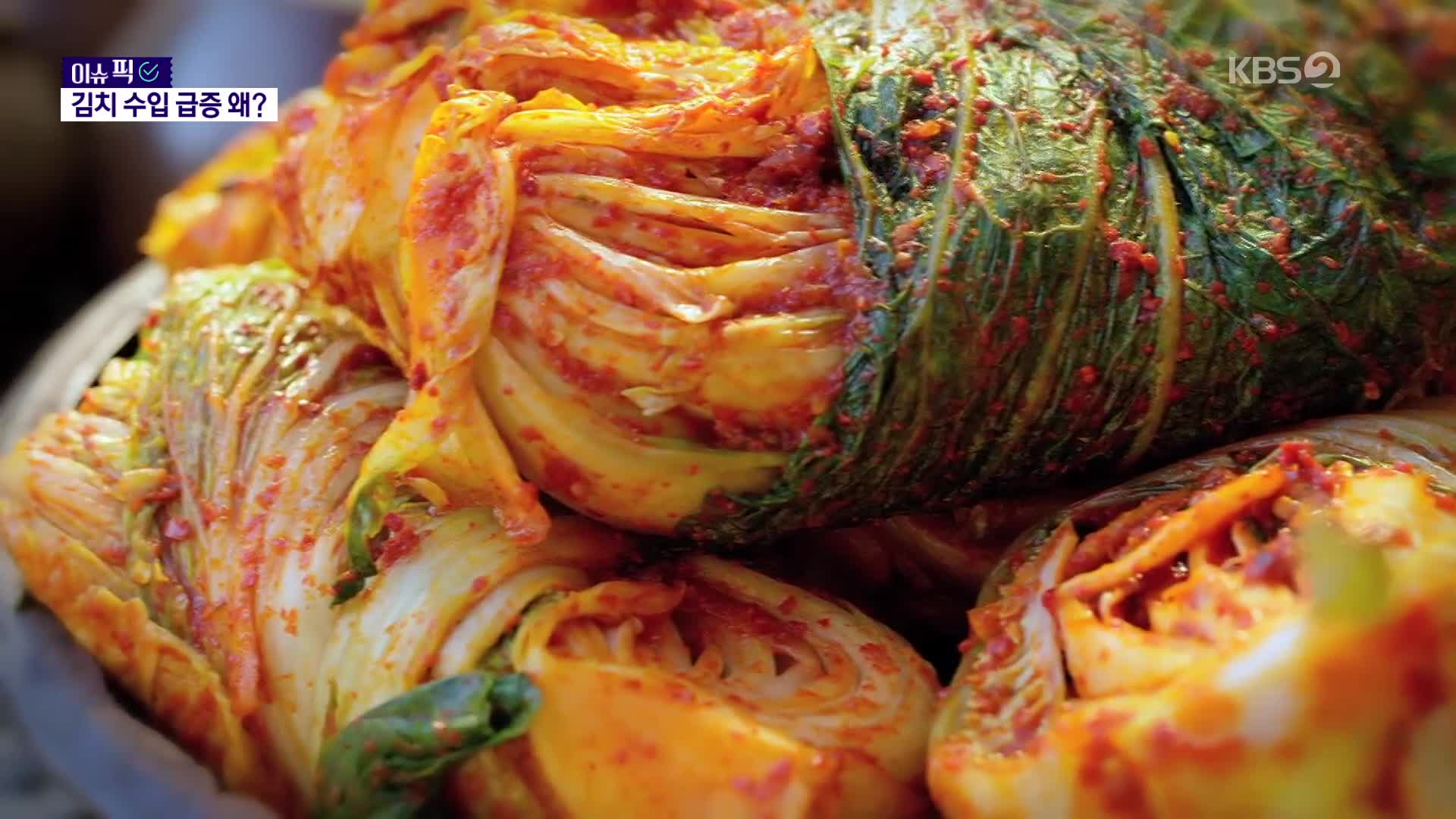 [이슈픽] ‘알몸 김치’ 벌써 잊었나…중국산 김치 수입 급증 무슨 일?