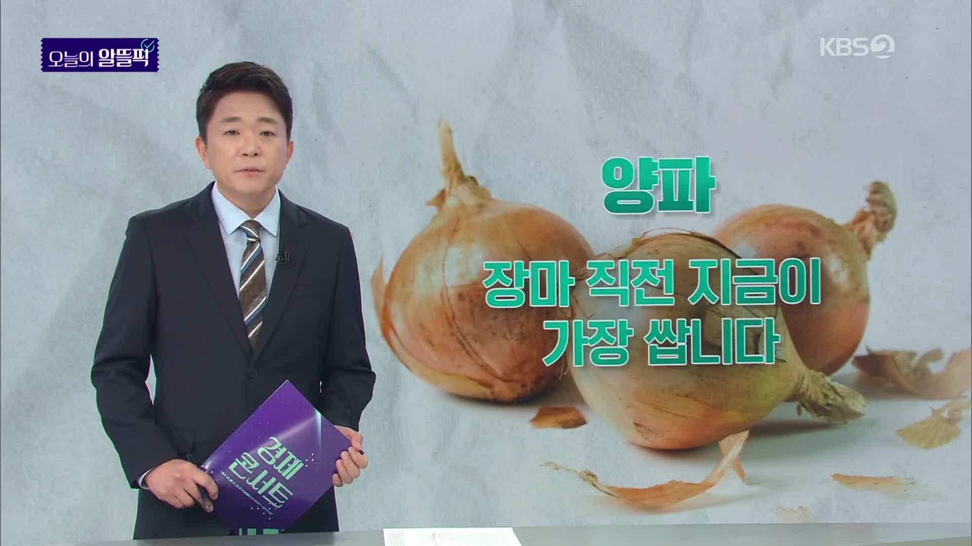 [알뜰픽] 농가 돕고 건강 돕는 양파, 지금이 제일 싸다!