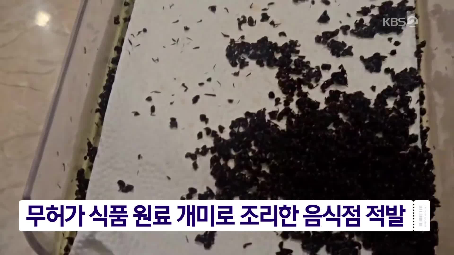 무허가 식품 원료 개미로 조리한 음식점 적발