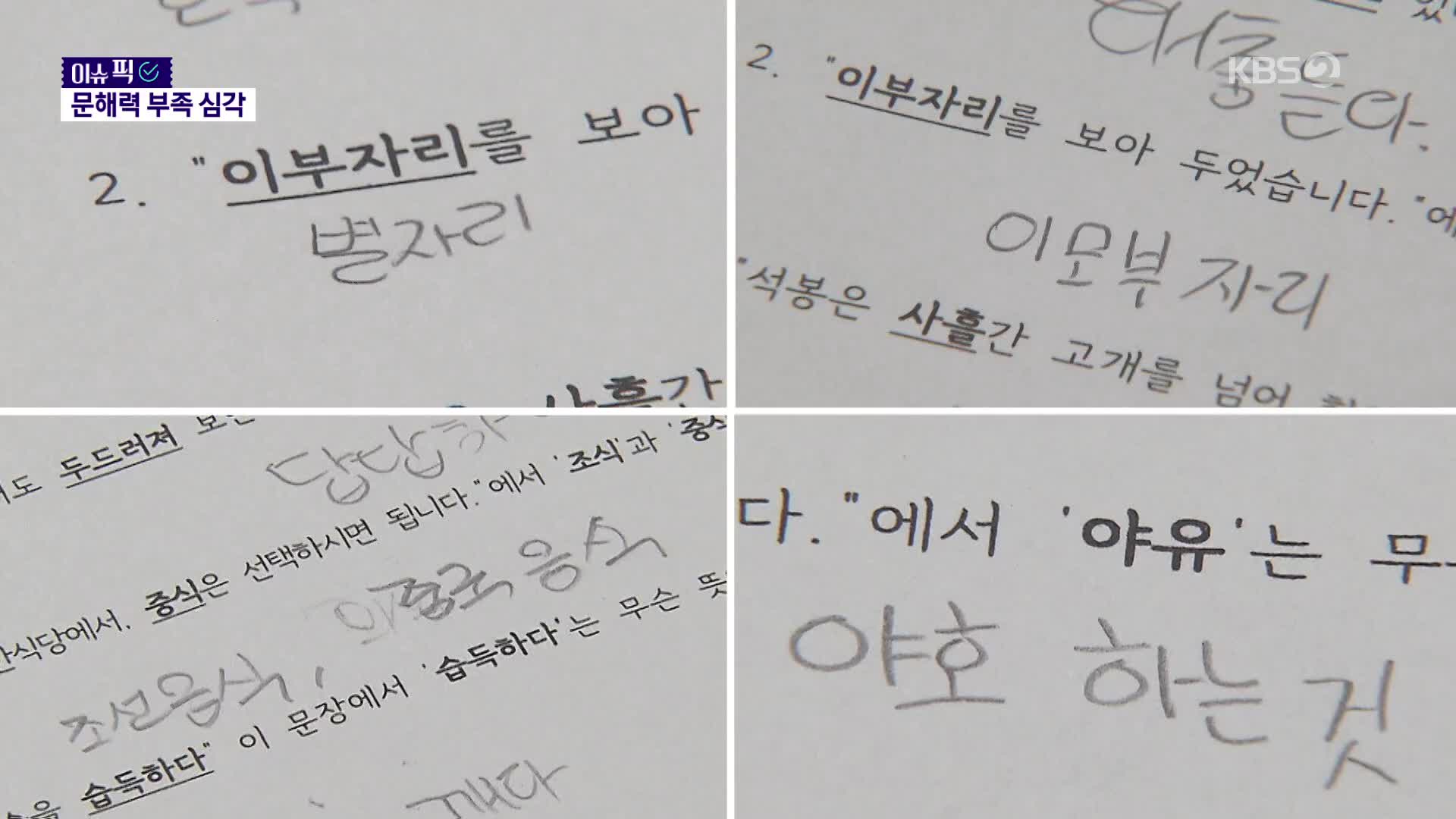 ‘개도 안 건드린다’ 해석 논란에 국립국어원까지 등판 [이슈픽] 