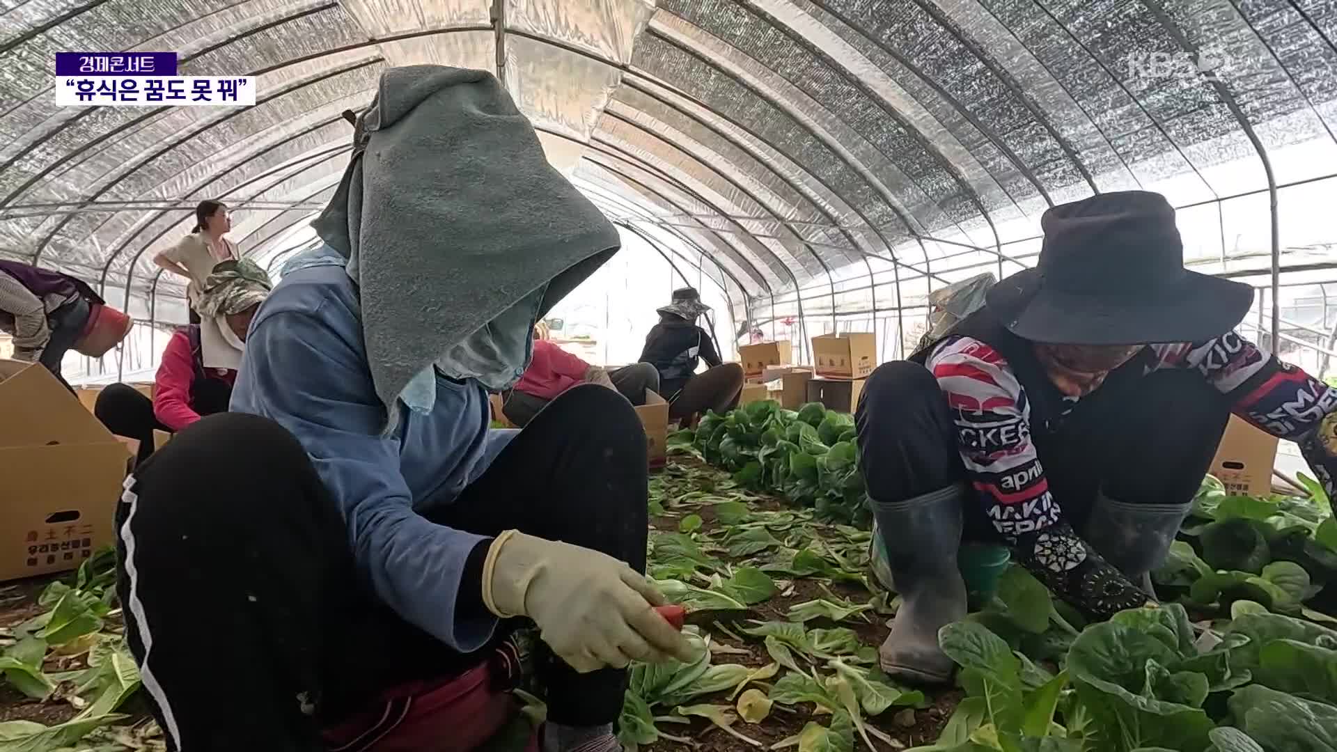 노동 취약 계층에게 더 가혹한 폭염…휴식권은 ‘그림의 떡’