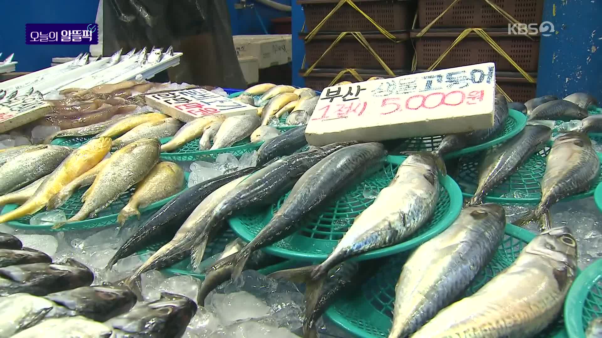 [알뜰픽] 국산 수산물 반값 할인…시장서 사면 상품권까지!
