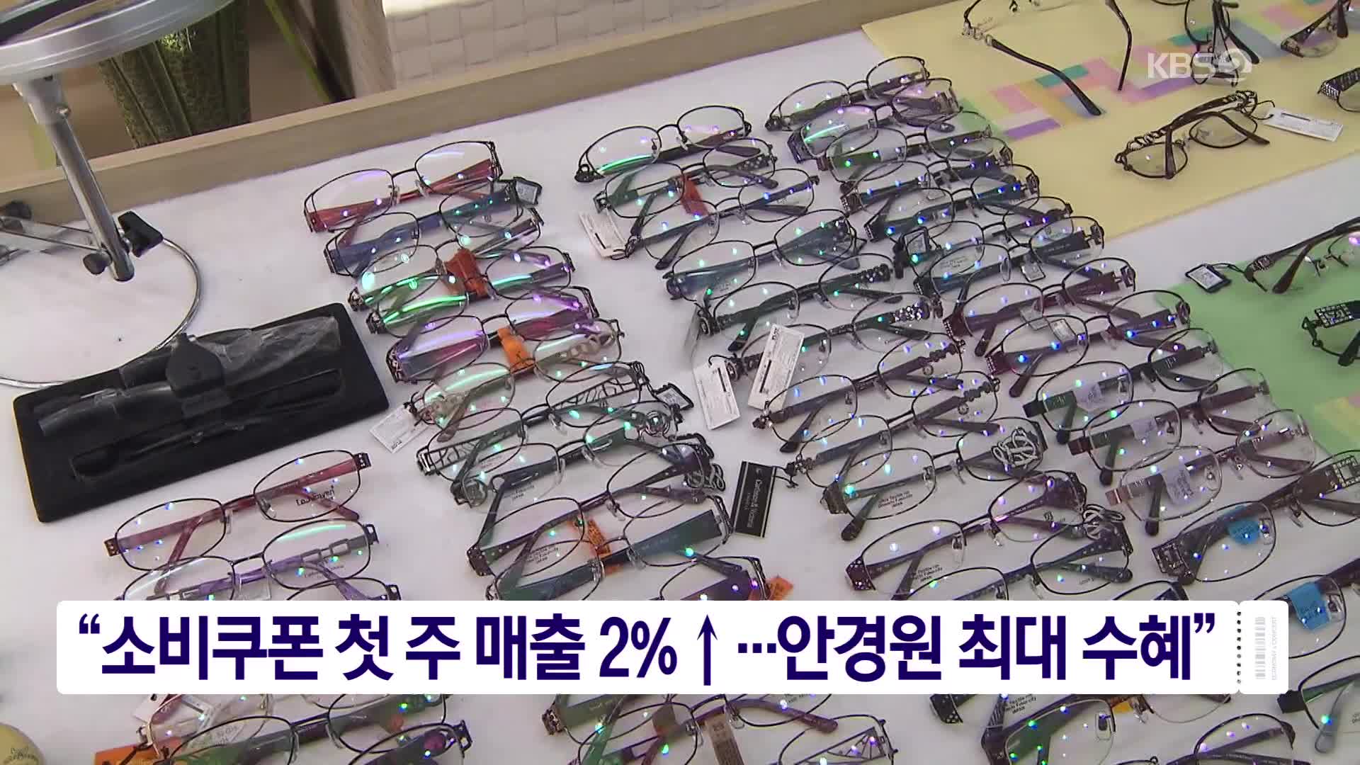 “소비쿠폰 첫 주 매출 2%↑…안경원 최대 수혜”