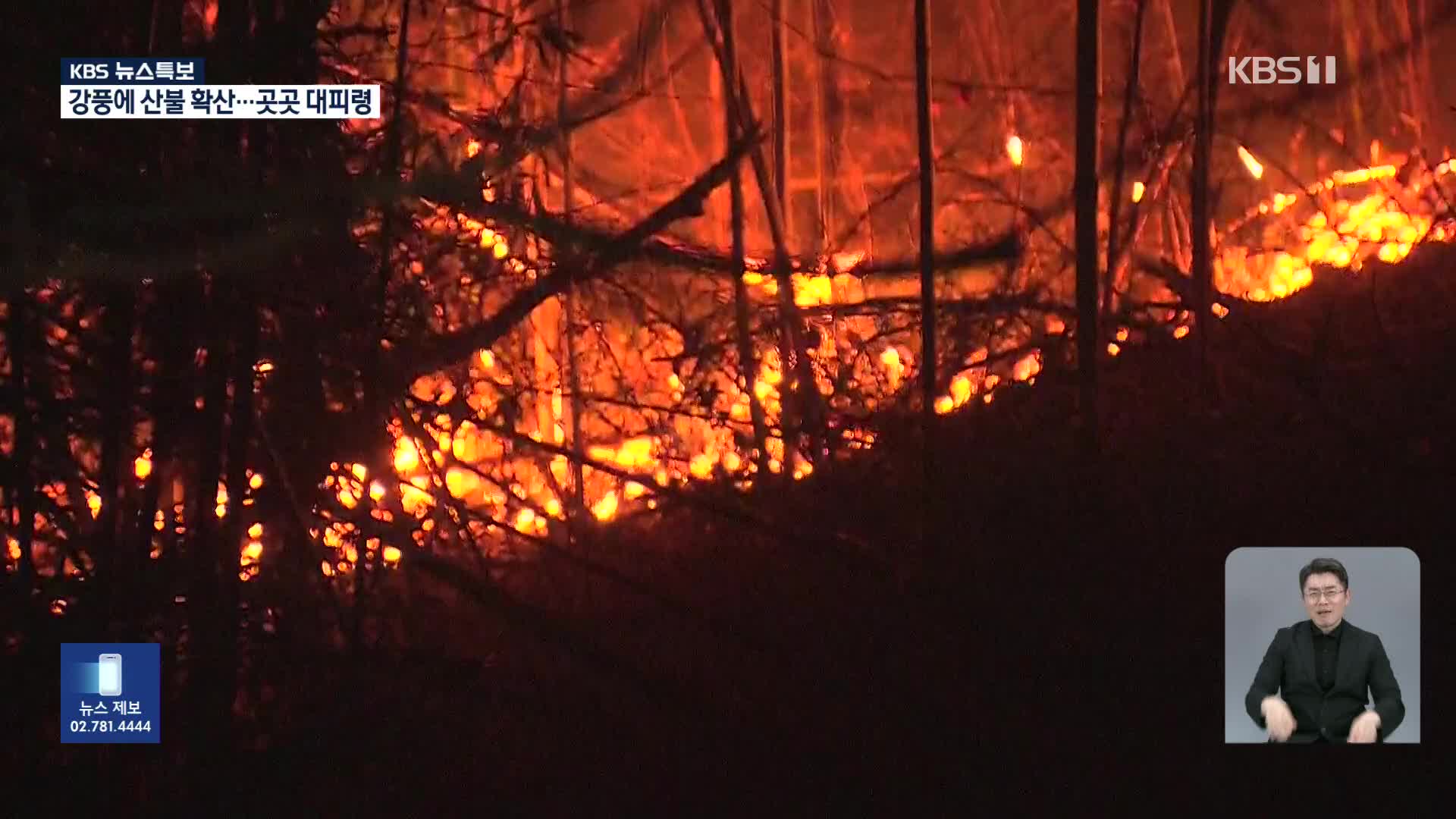 강풍에 산불 확산…곳곳 대피령 [05시 뉴스특보]