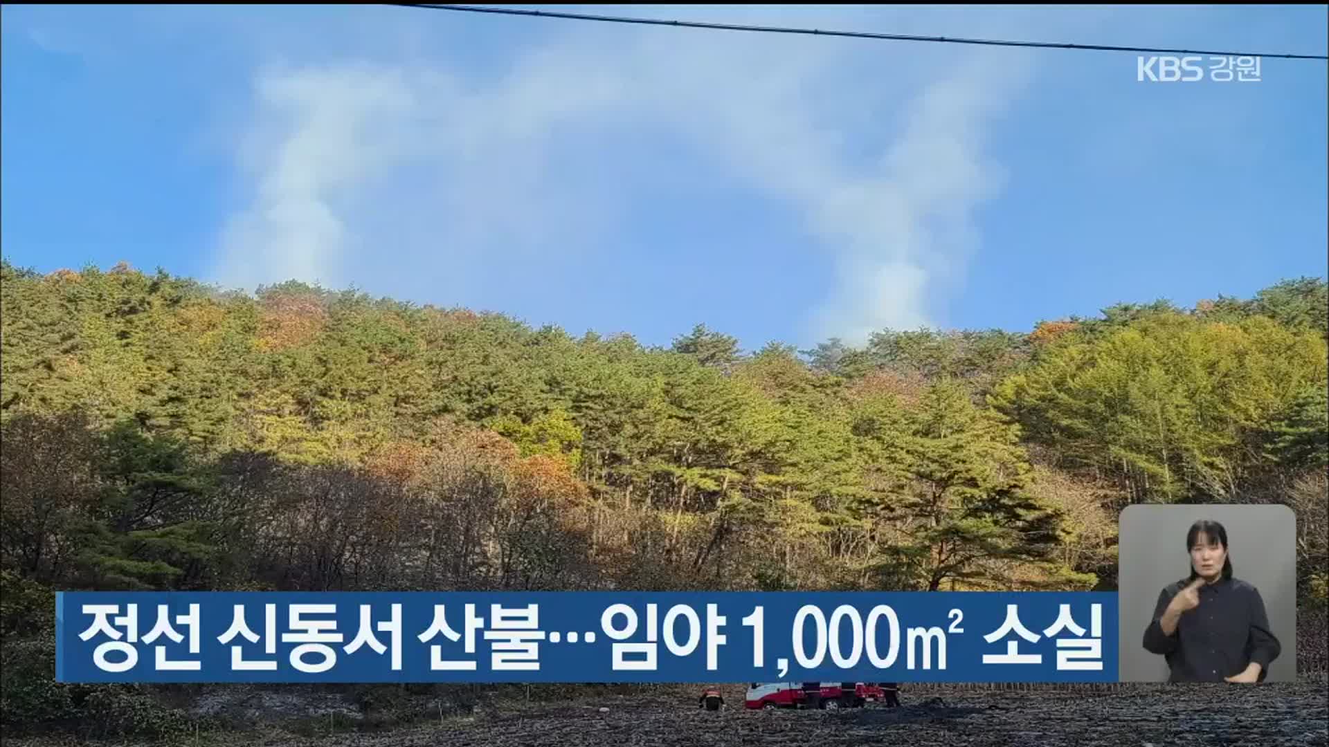 정선 신동서 산불…임야 1,000m²  소실