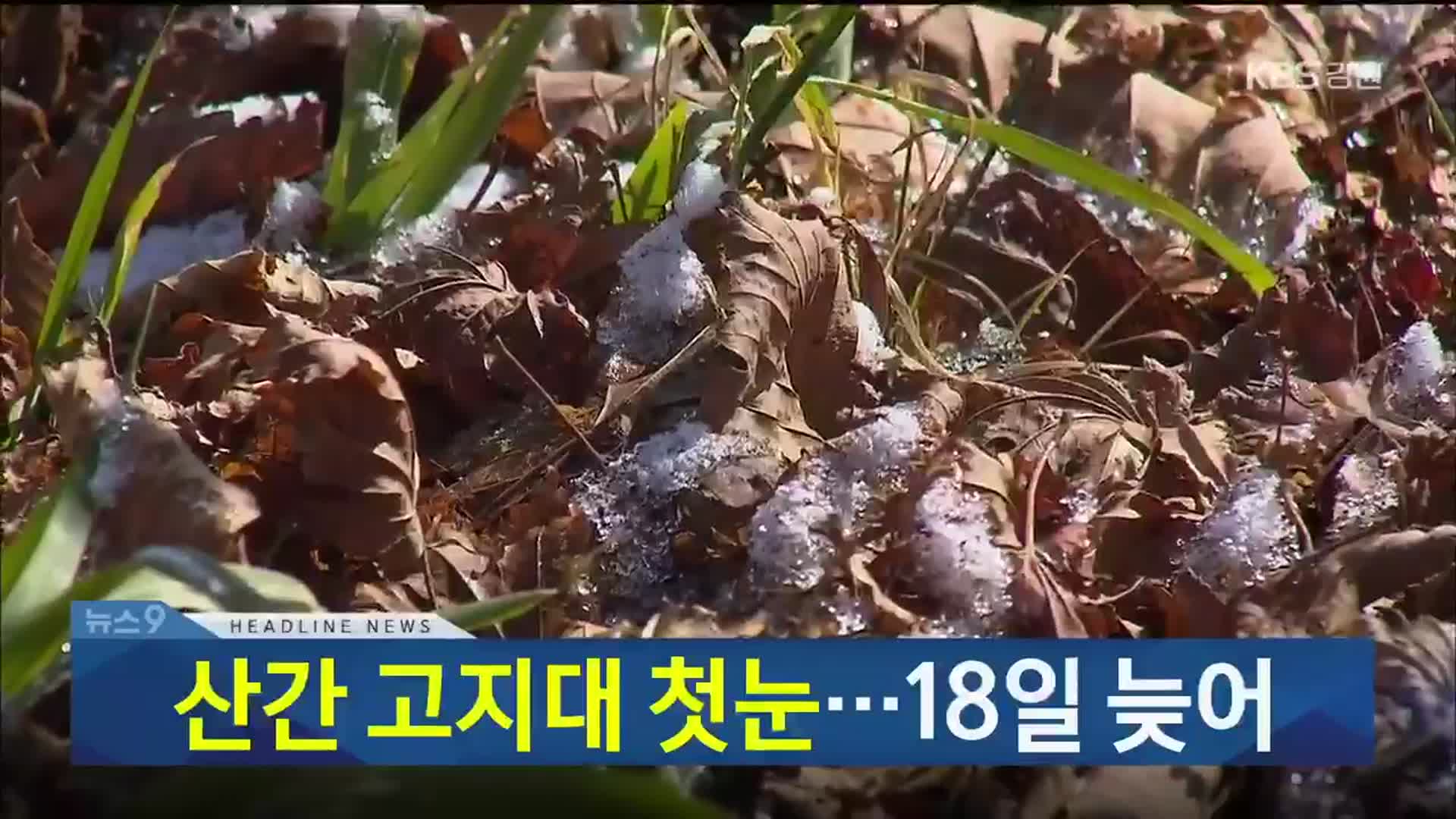 [뉴스9 강릉 헤드라인]