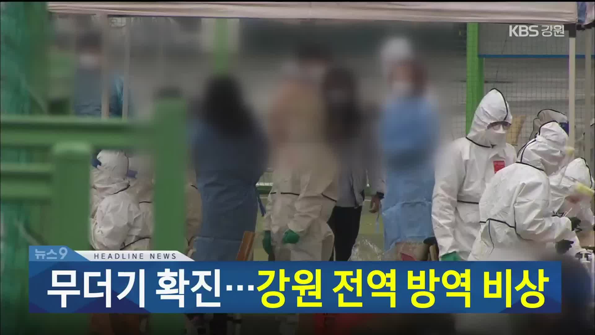 [뉴스9 강릉 헤드라인]