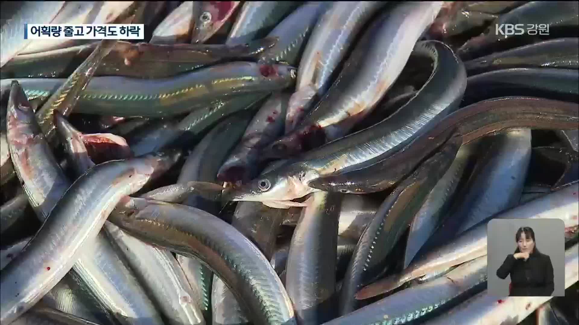 ‘제철 생선’ 어획량 줄고 가격도 하락…어민 ‘한숨’