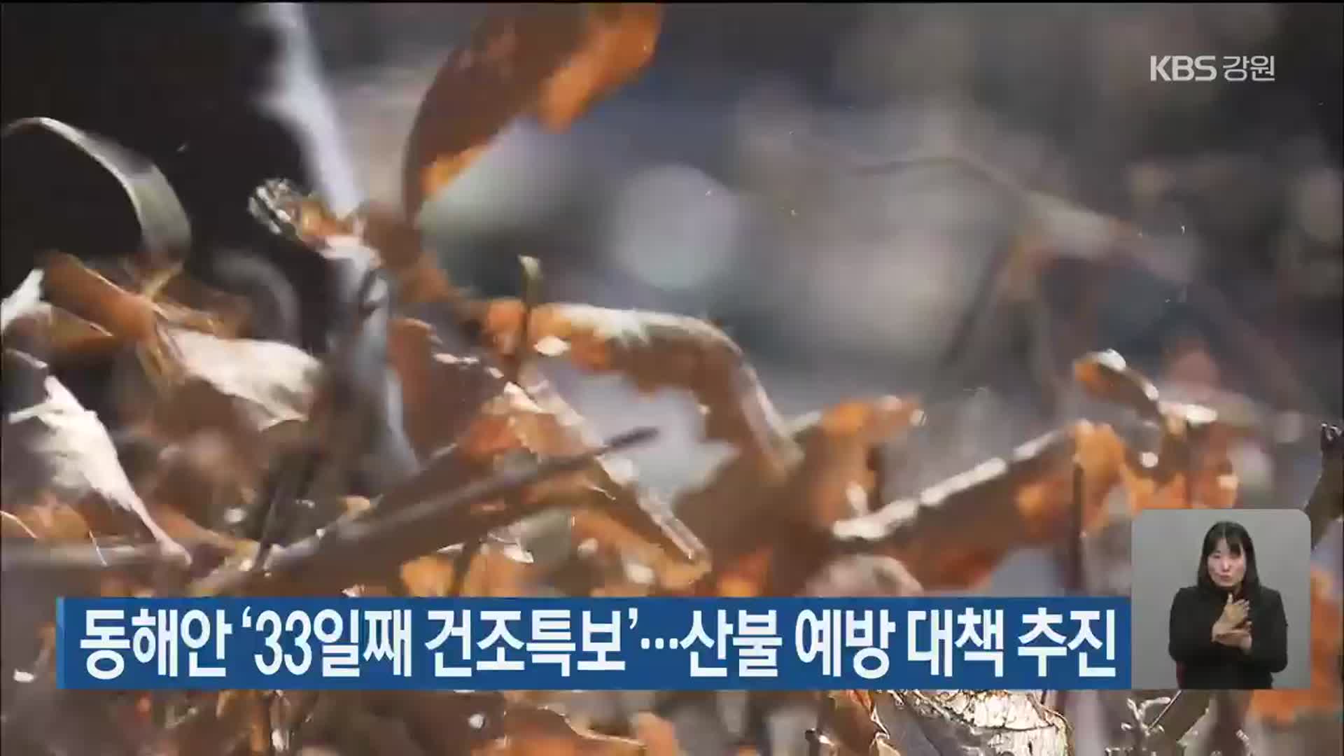 동해안 ‘33일째 건조특보’…산불 예방 대책 추진