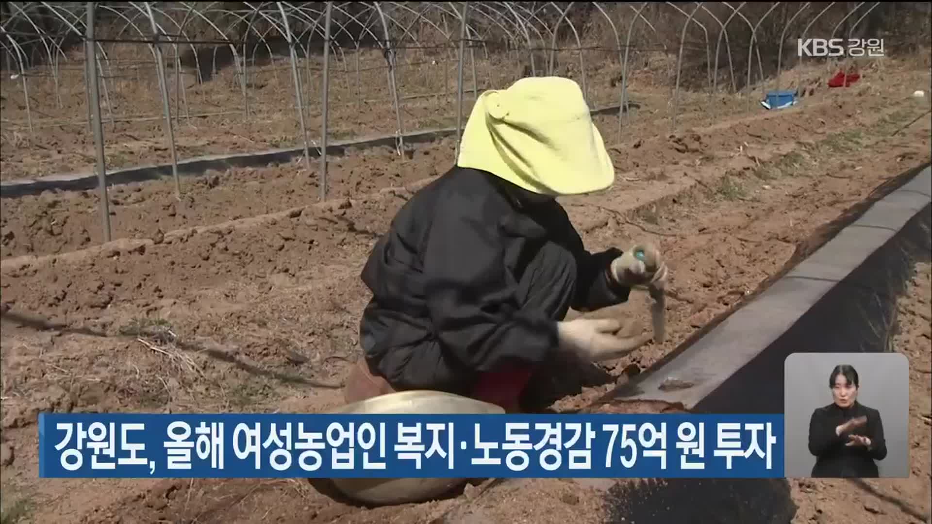 강원도, 올해 여성농업인 복지·노동경감 75억 원 투입