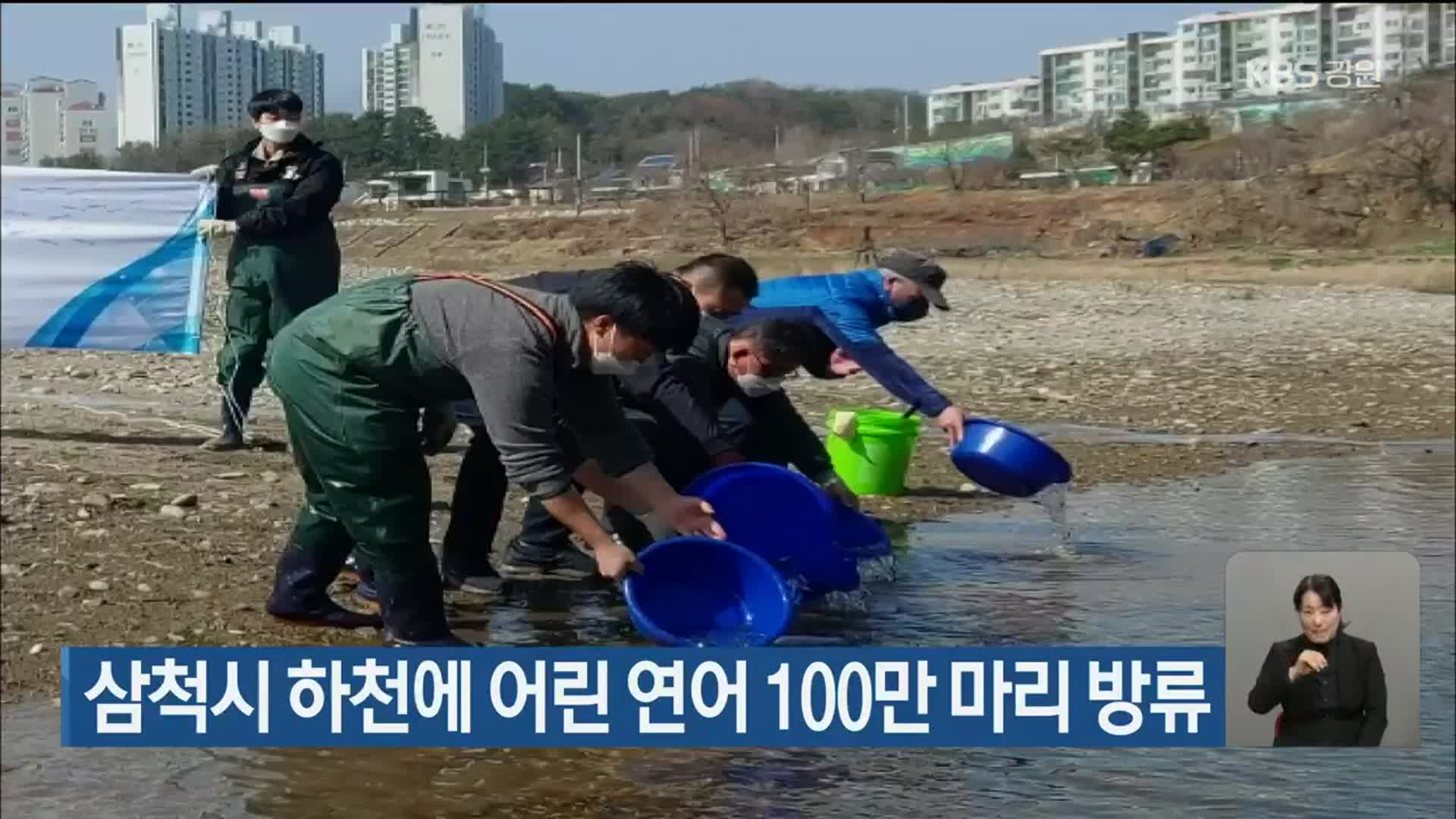 삼척시 하천에 어린 연어 100만 마리 방류