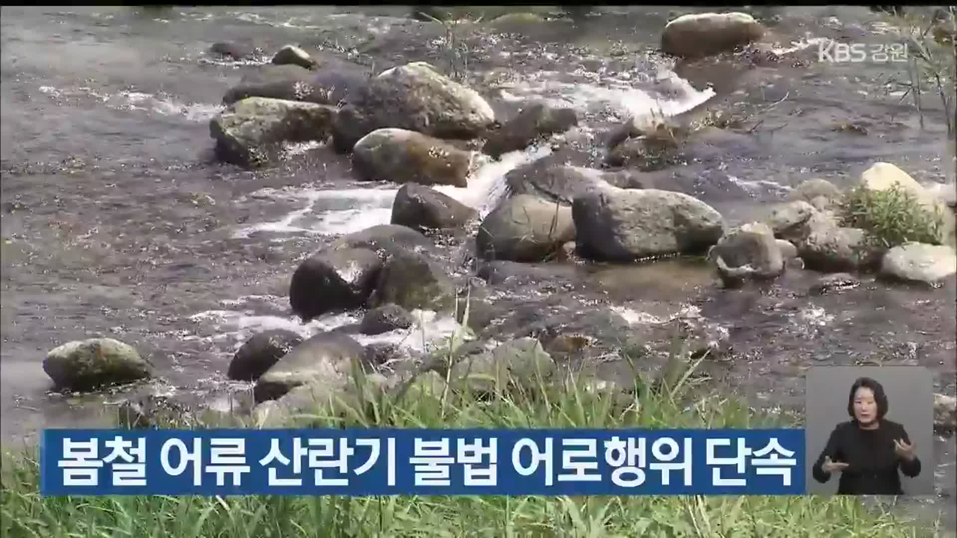 봄철 어류 산란기 불법 어로행위 단속