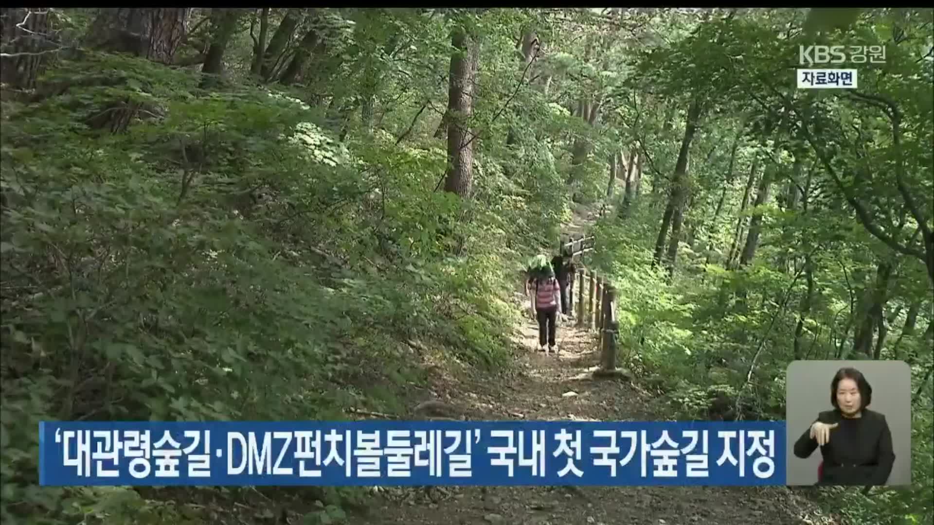 ‘대관령숲길·DMZ펀치볼둘레길’ 국내 첫 국가숲길 지정