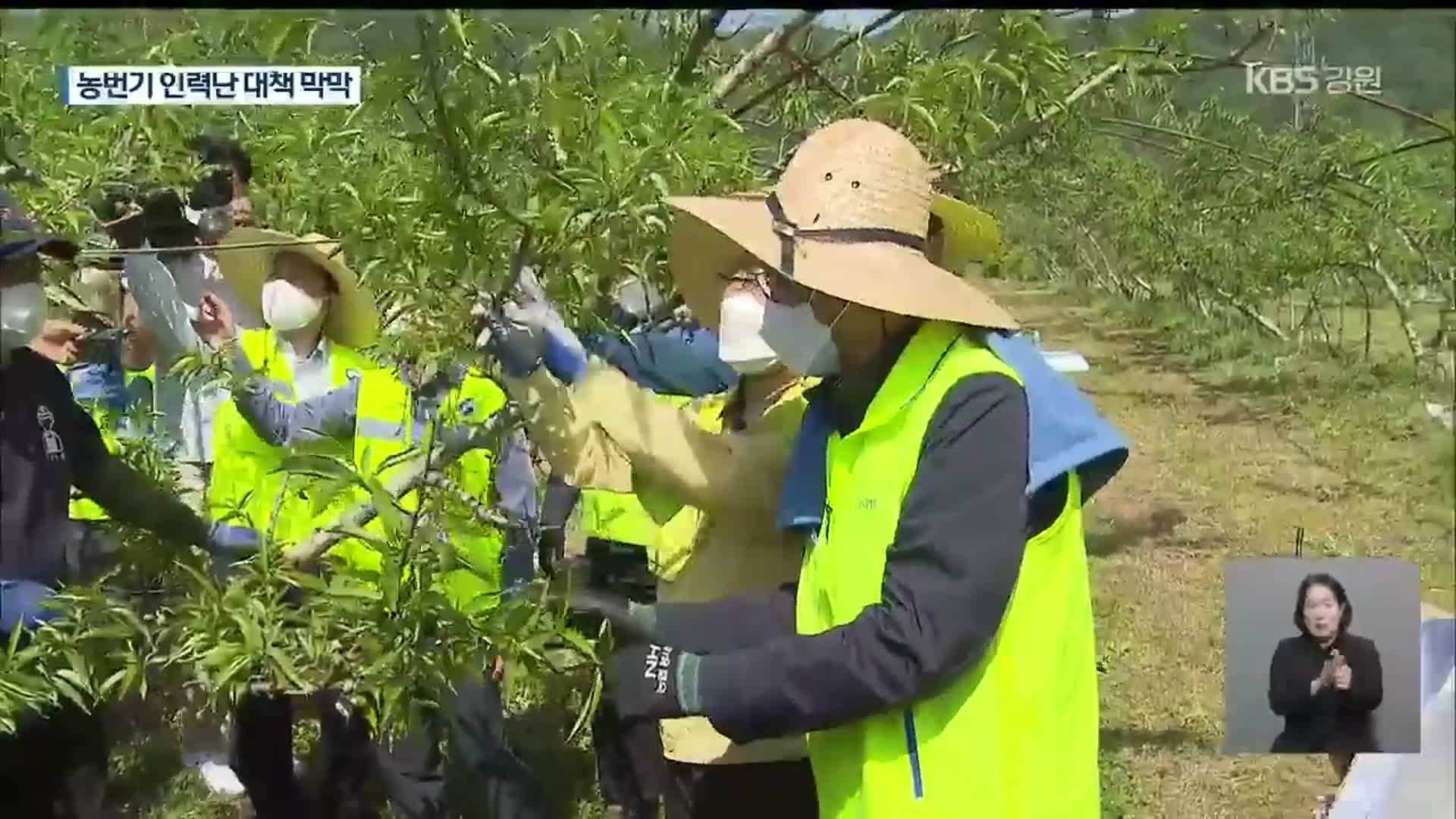 결국, 공공기관이 나서…농촌 인력난 해법 요원