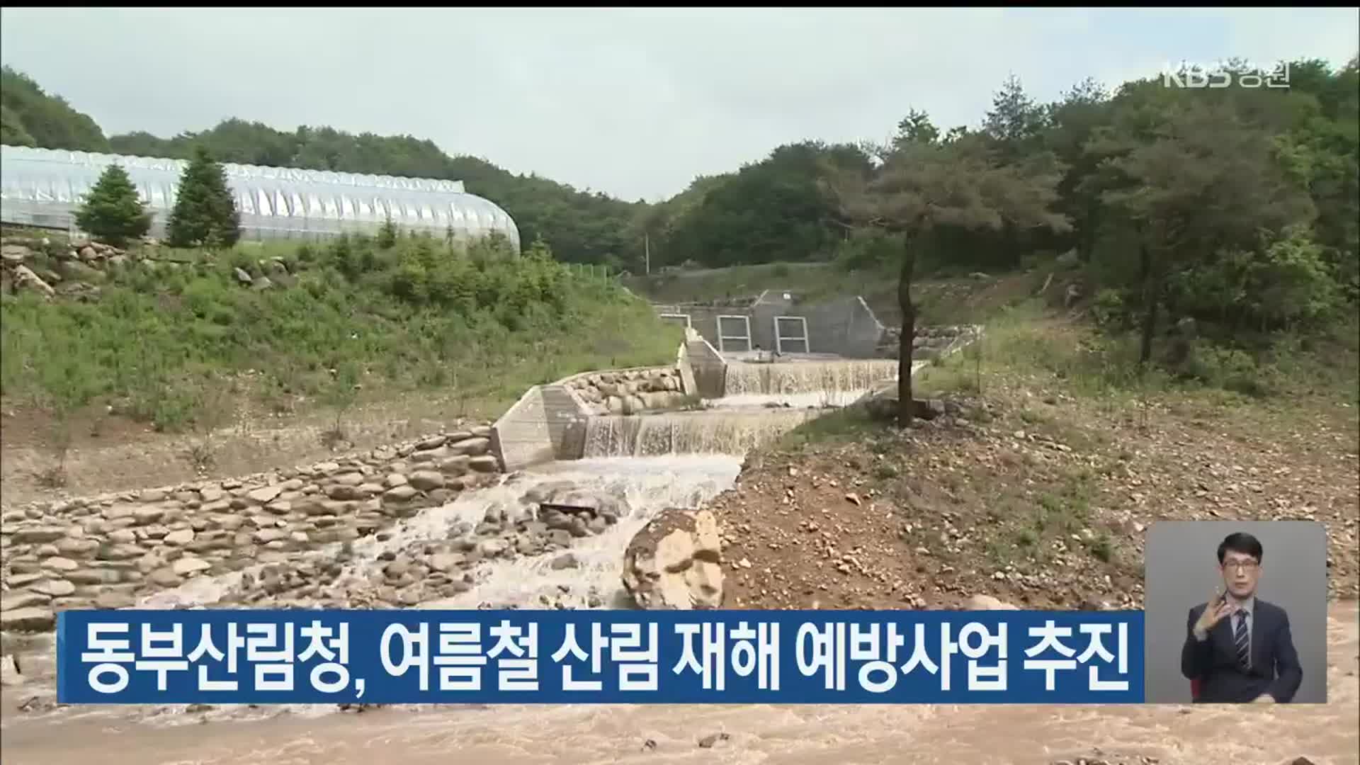 동부산림청, 여름철 산림 재해 예방사업 추진