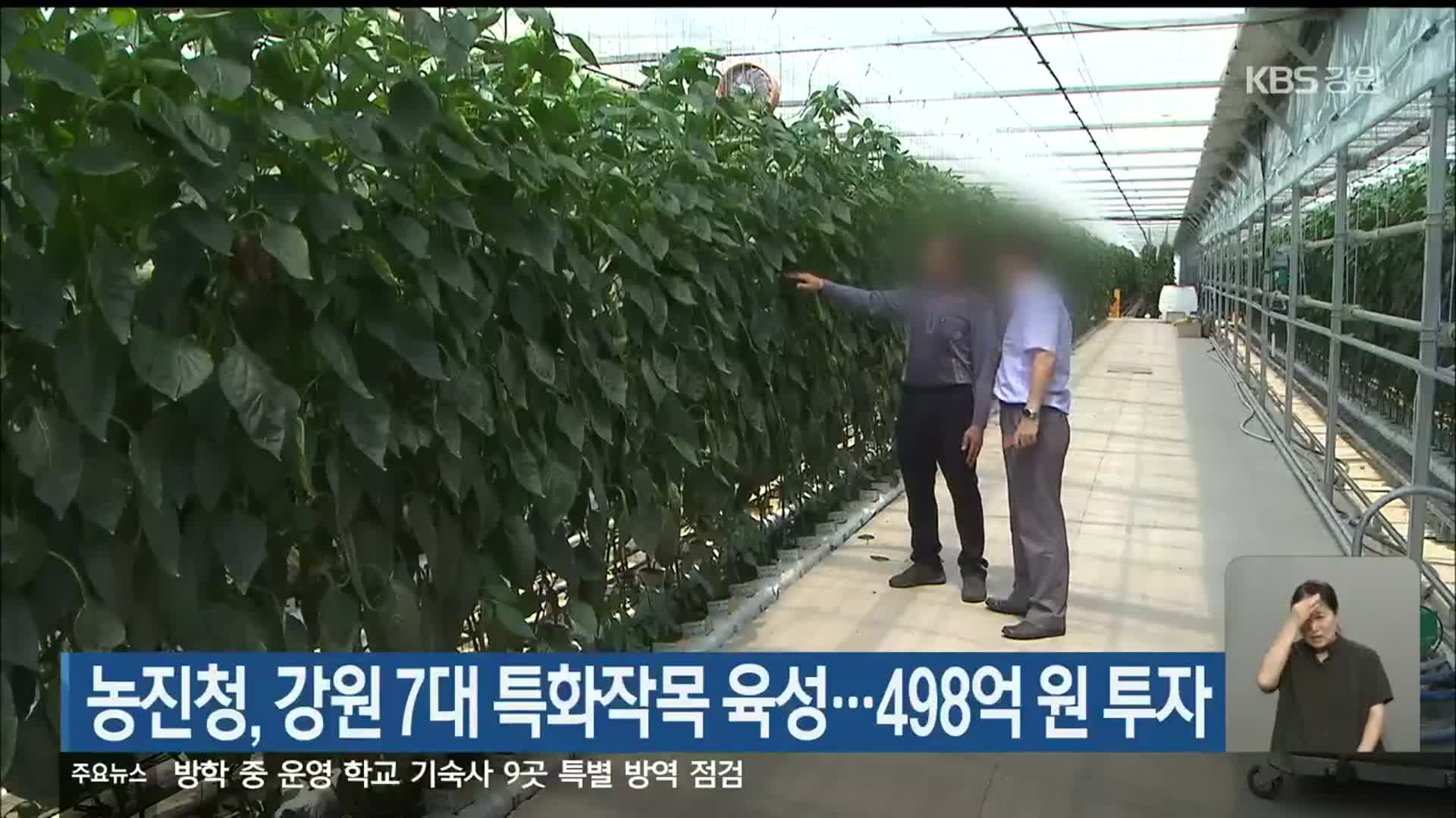 농진청, 강원 7대 특화작목 육성…498억 원 투자
