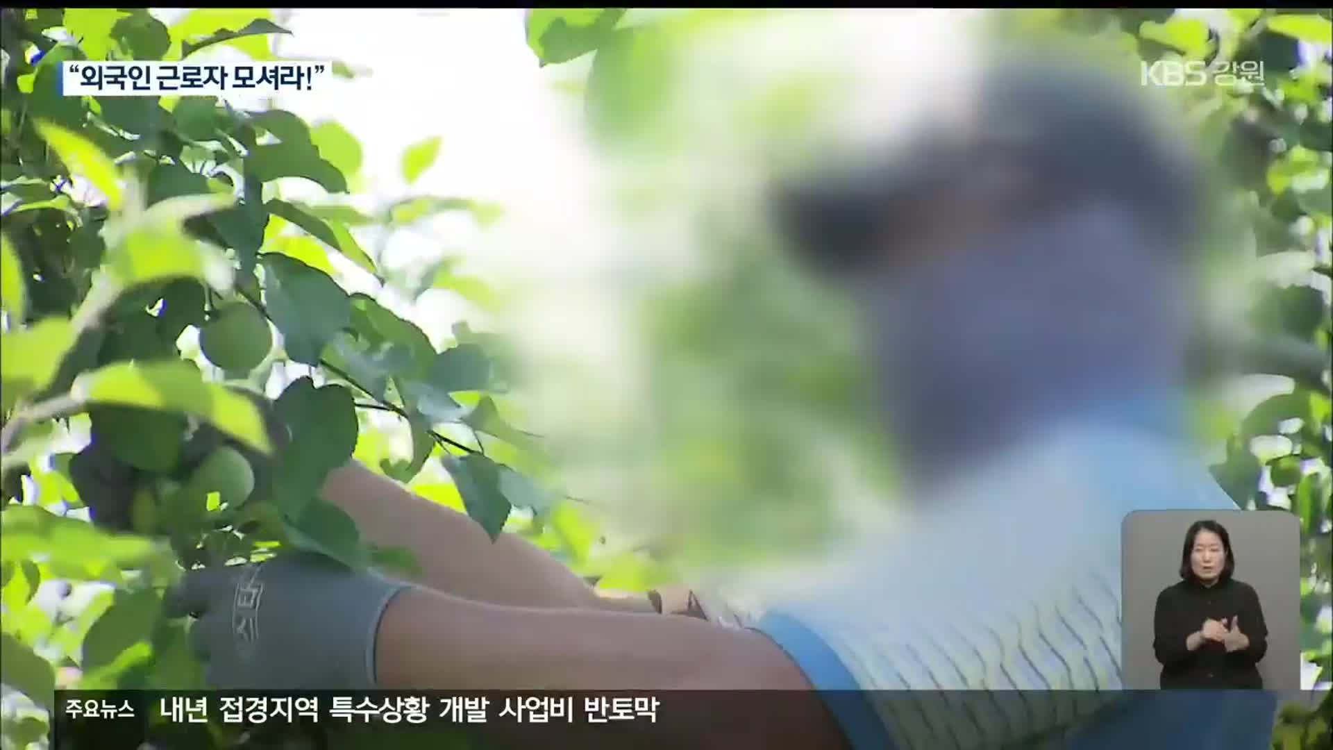 “외국인 근로자 모셔라!”…농촌 인력난 해소 ‘안간힘’