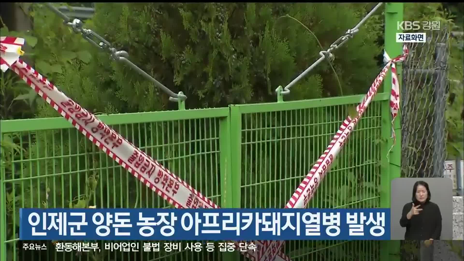 인제군 양돈 농장 아프리카돼지열병 발생