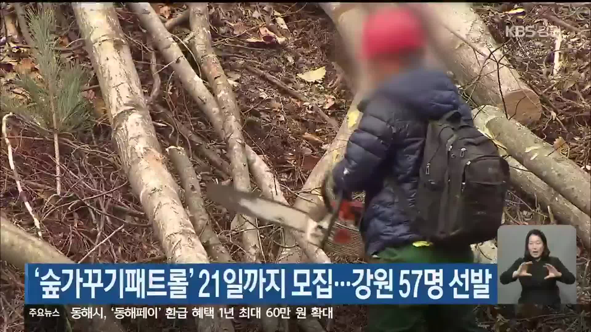 ‘숲가꾸기패트롤’ 21일까지 모집…강원 57명 선발