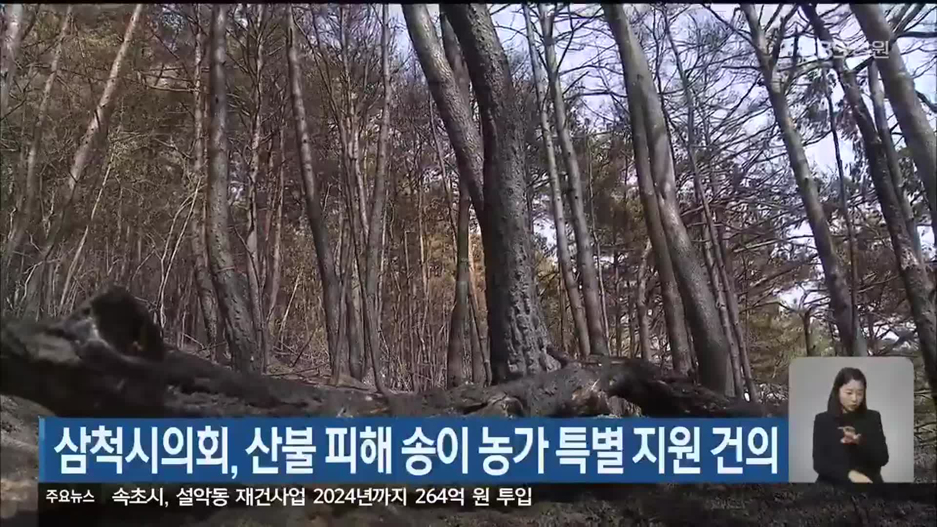 삼척시의회, 산불 피해 송이 농가 특별 지원 건의