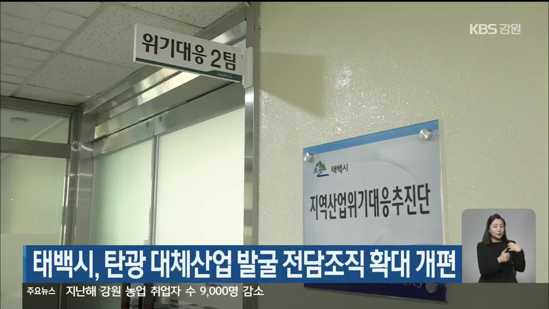 태백시, 탄광 대체산업 발굴 전담조직 확대 개편