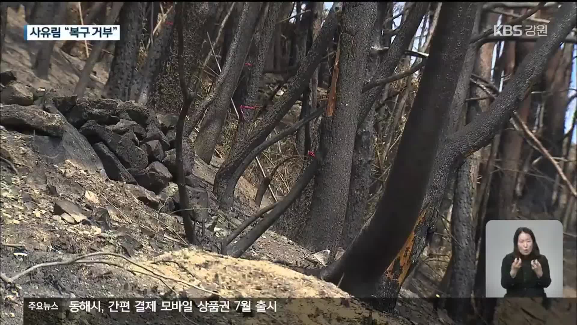 산불 피해 사유림 “보상 요구”…복구 지지부진