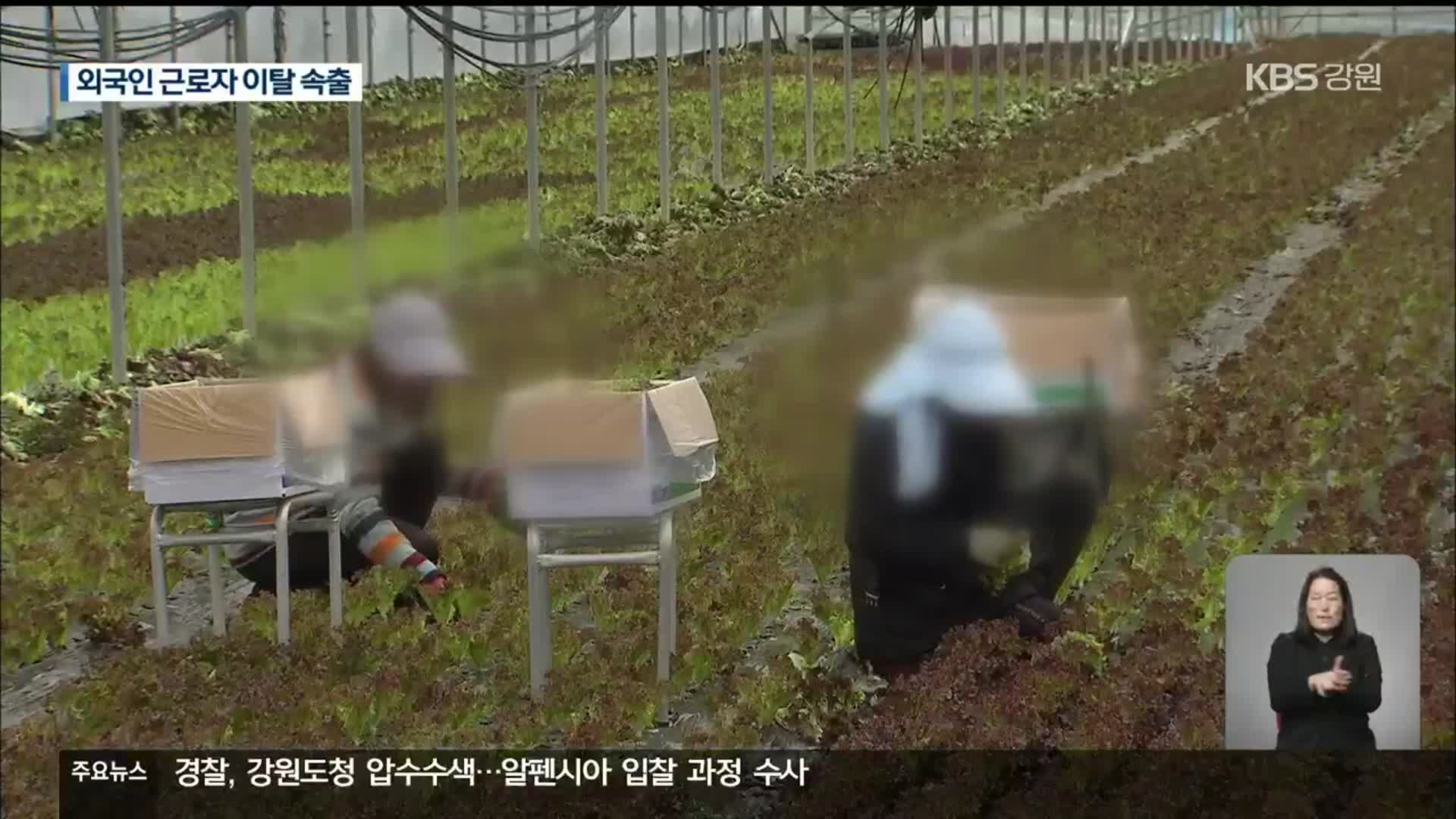 외국인 근로자, 또 무단 이탈…“봄 농사 어쩌나?”