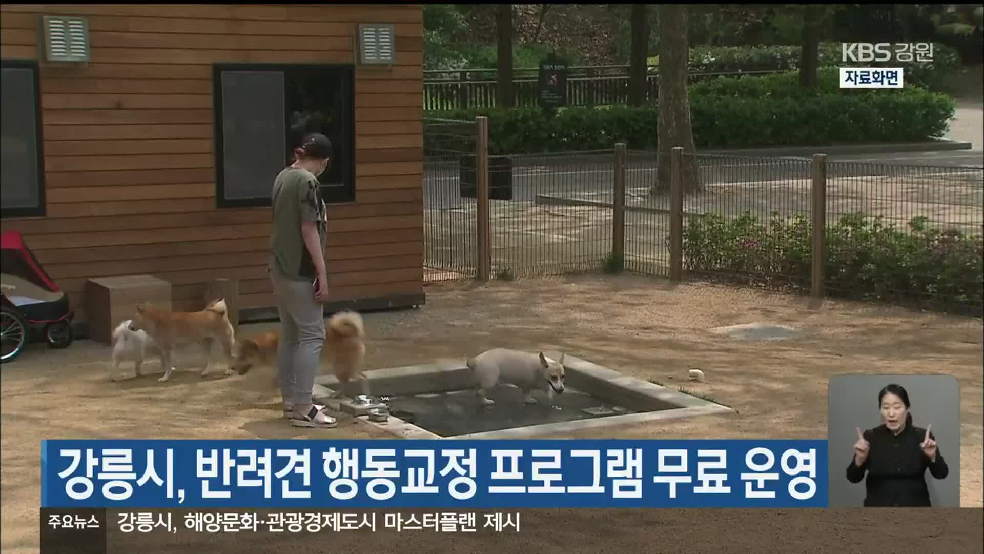 강릉시, 반려견 행동교정 프로그램 무료 운영