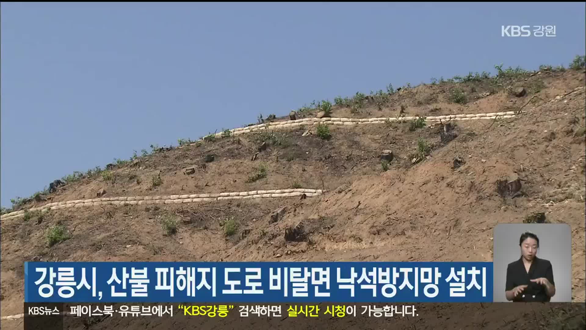 강릉시, 산불 피해지 도로 비탈면 낙석방지망 설치