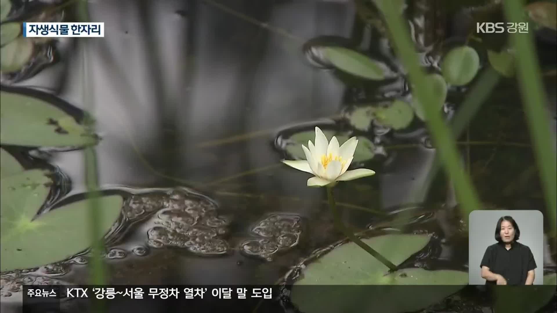 대한민국 1호 사립식물원, 국립으로 재탄생…“우리 식물 사랑의 결실”