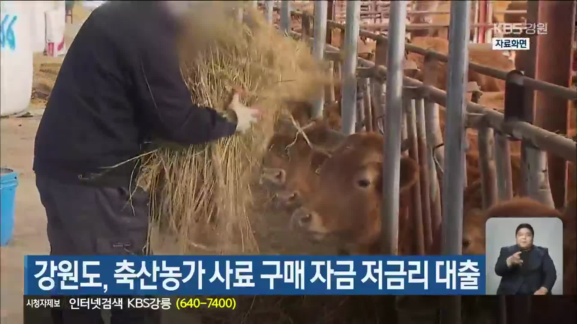강원도, 축산농가 사료 구매 자금 저금리 대출
