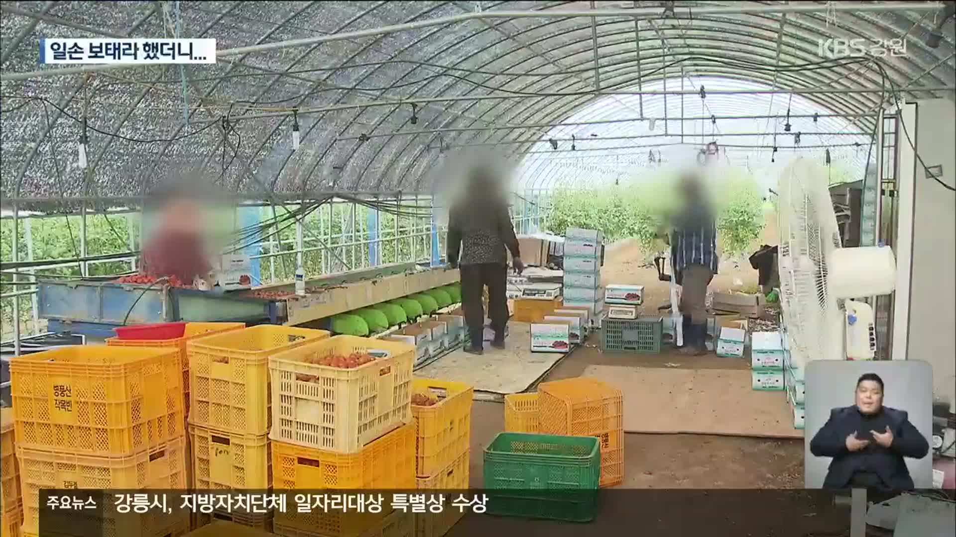 외국인 계절 근로자 배정받아 인력 파견…“부수입 창출 수단?”