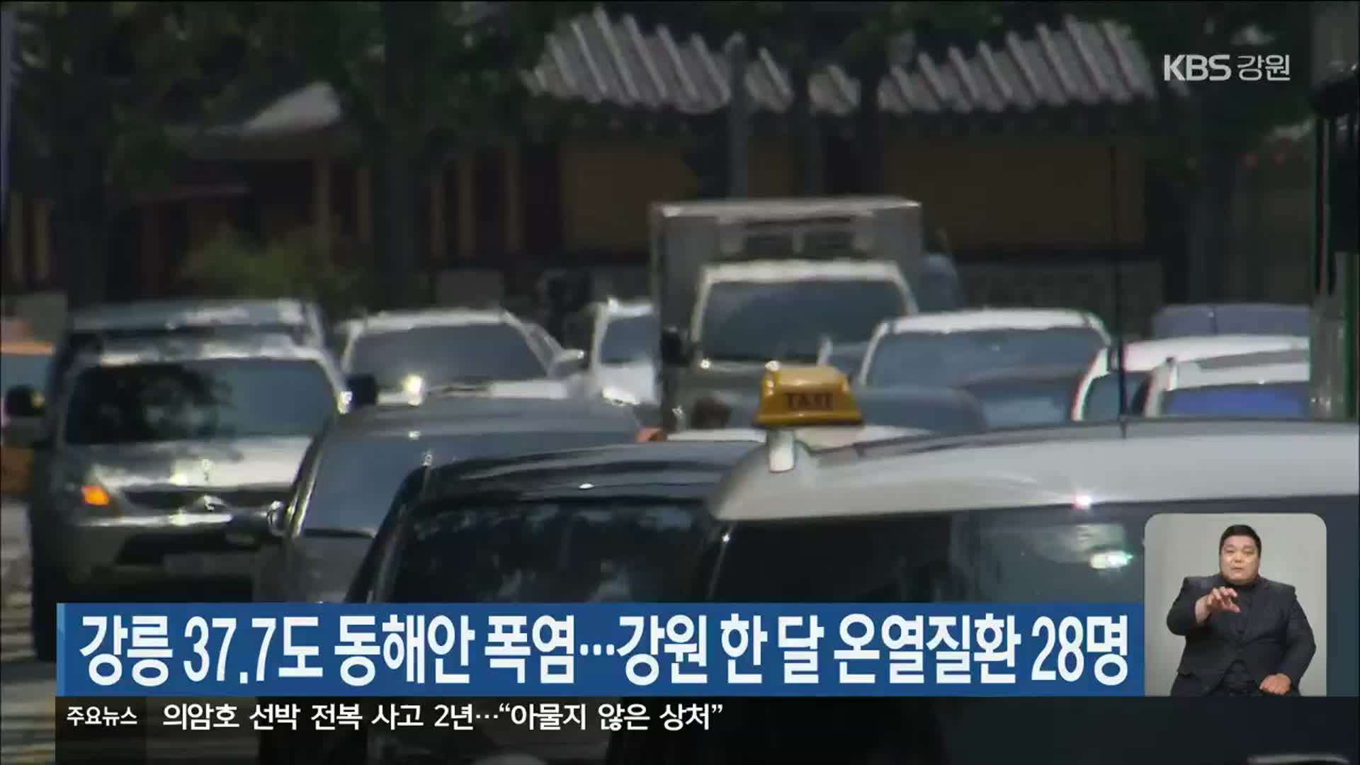 강릉 37.7도 동해안 폭염…강원 한 달 온열질환 28명